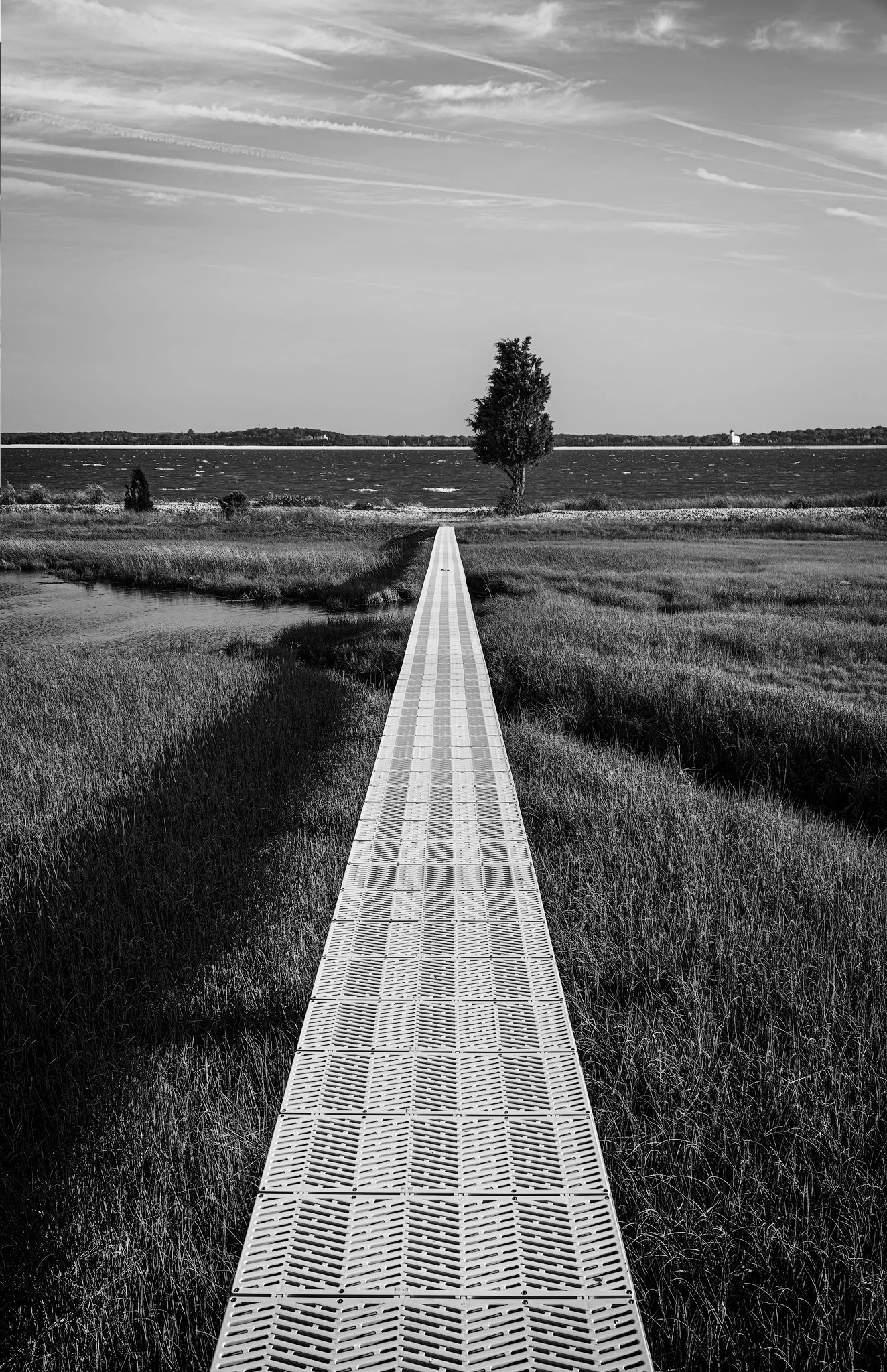 Narrow-River-Walkway.jpg
