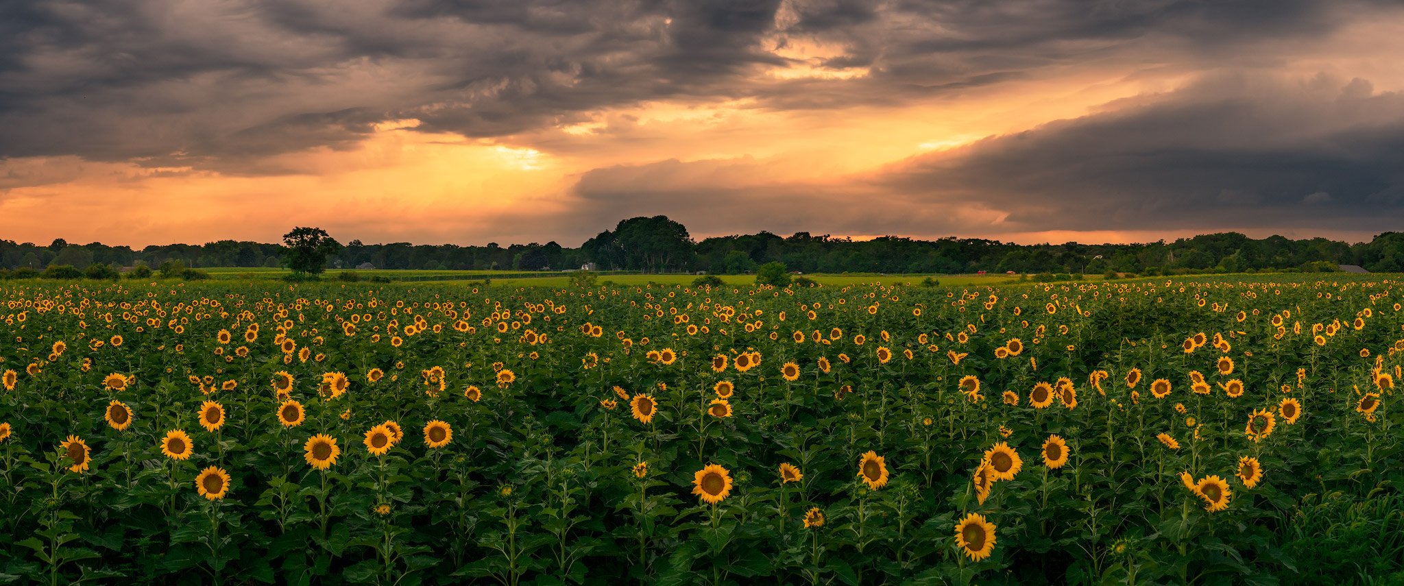 Panoramic — J.G. Photography