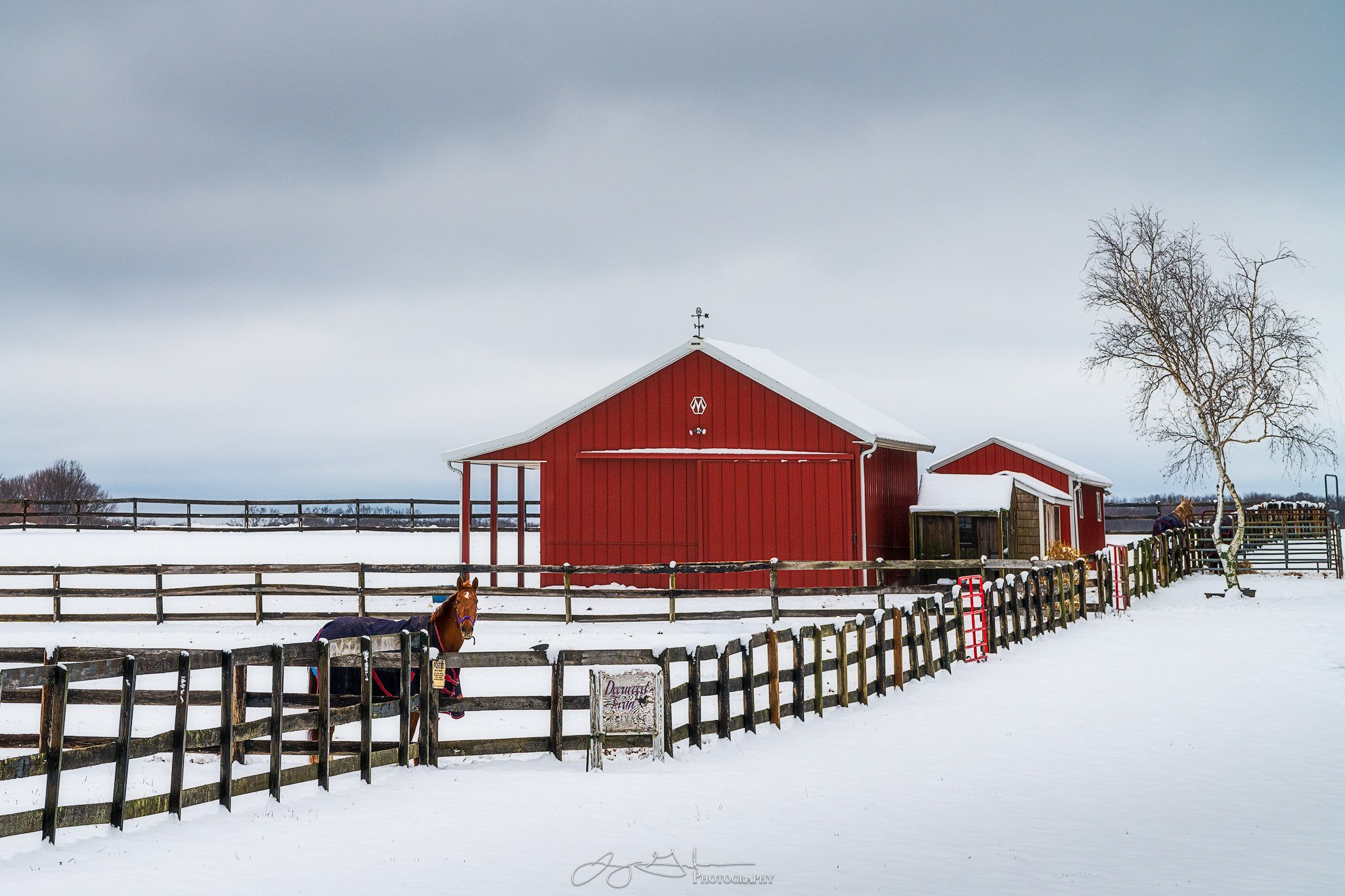 North-Fork-Horse-Farm-in-Snow-sharpened.jpg