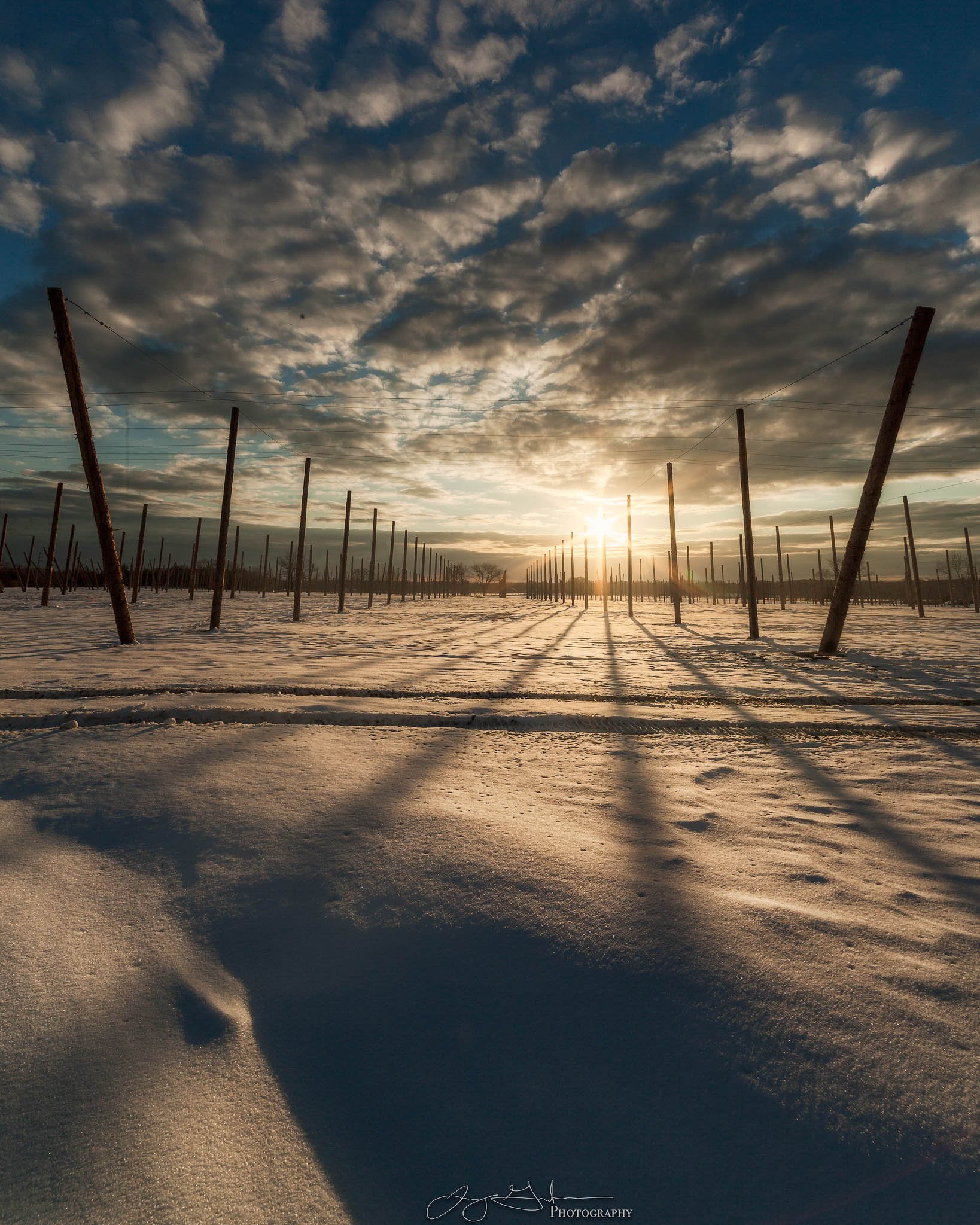 Winter Hops Field-February 24, 2021 01.jpg