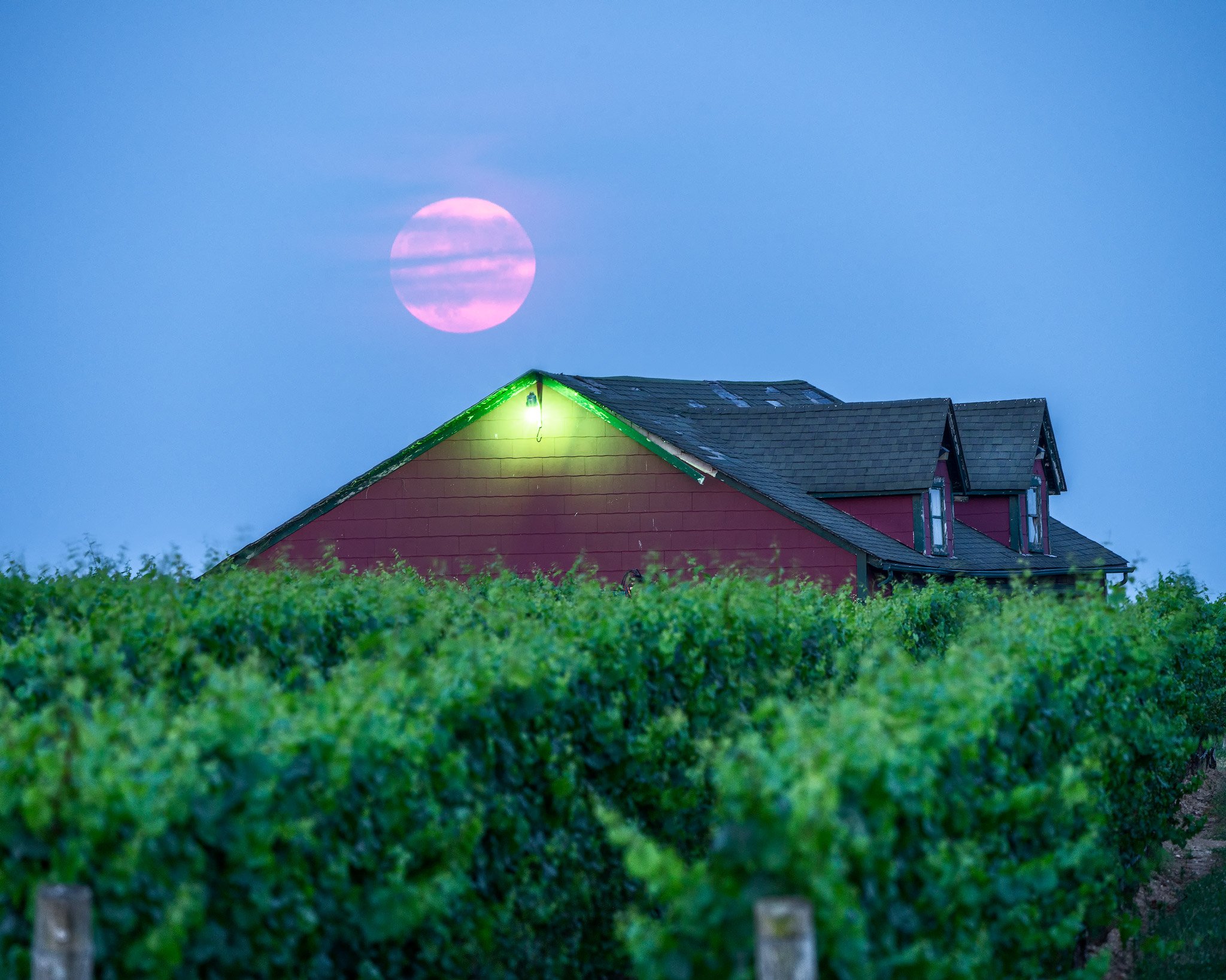 Vineyard-Moonrise-copy.jpg