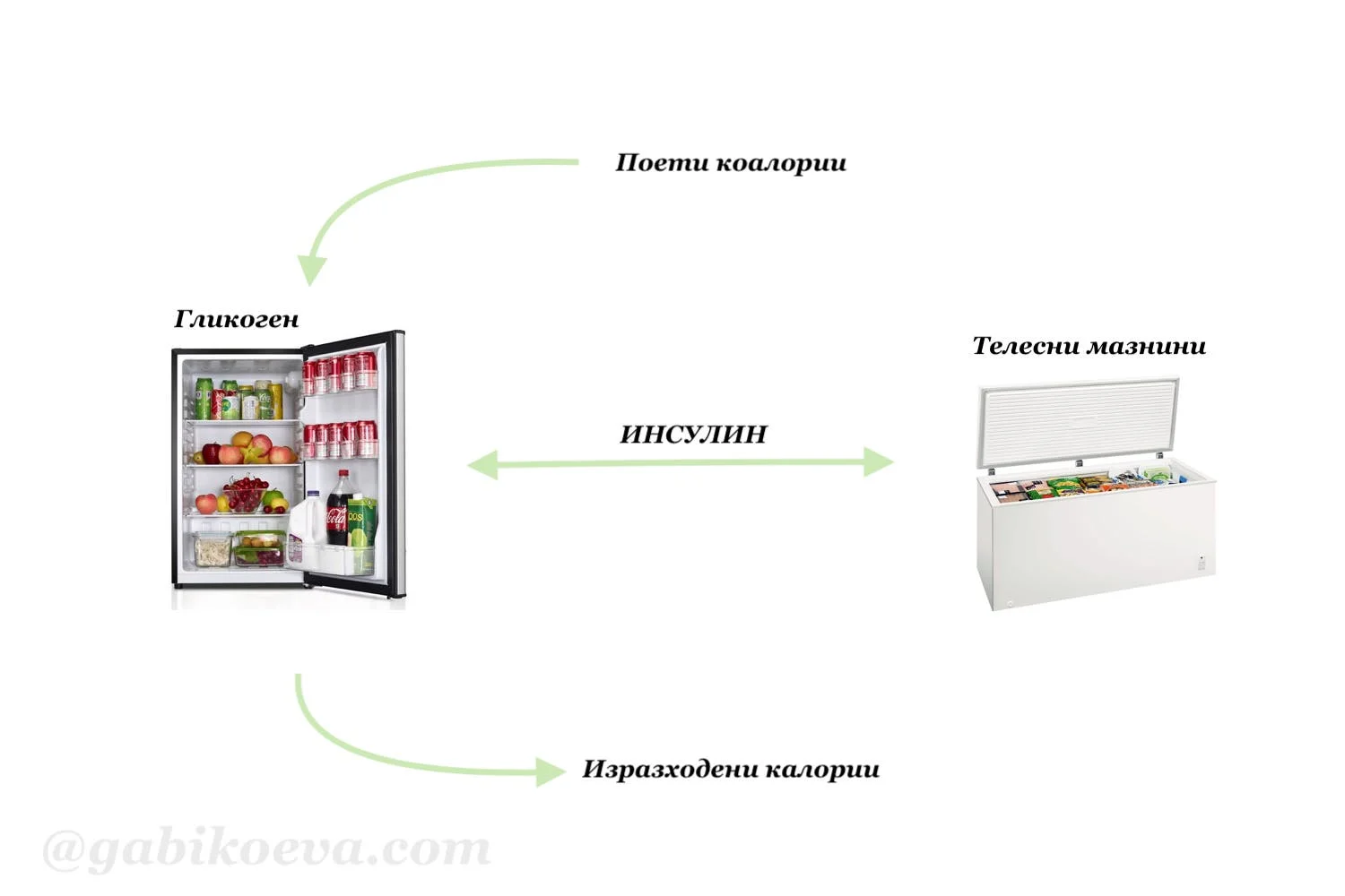 Защо "Яж по-малко, спортувай повече" НЕ РАБОТИ и как всъщност тялото ти използва калориите