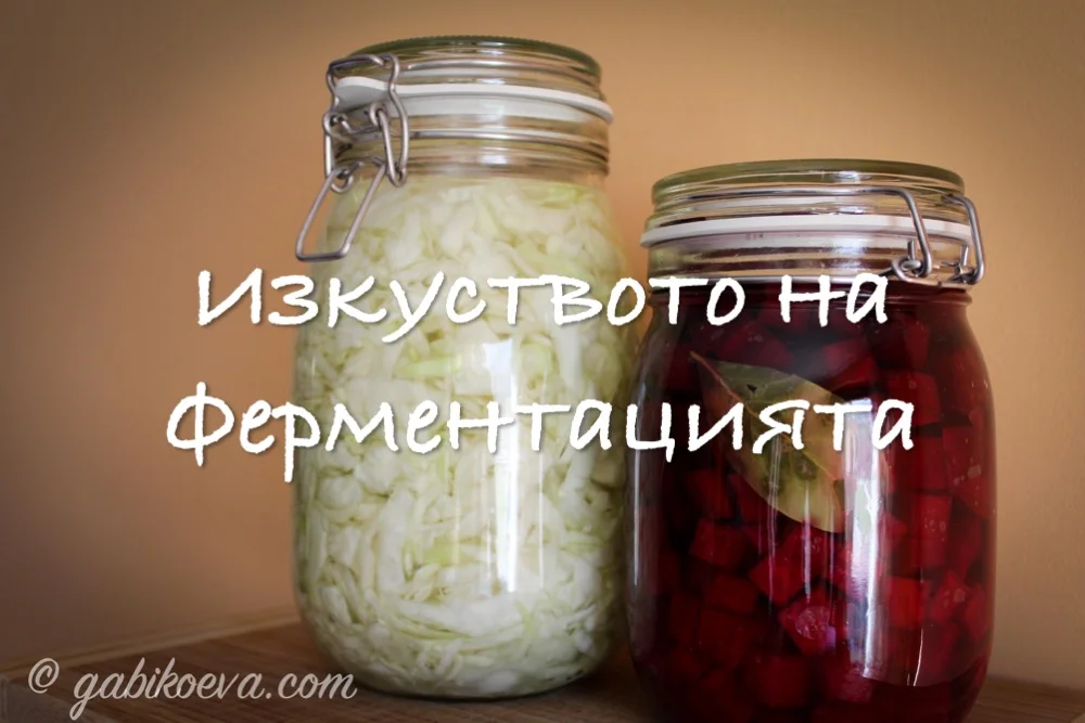 Изкуството на ФЕРМЕНТАЦИЯТА - част 1
