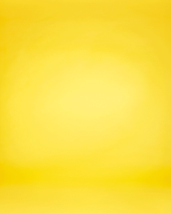 Sandwich-globe-and-mail-food-photographer-christie-vuong.gif