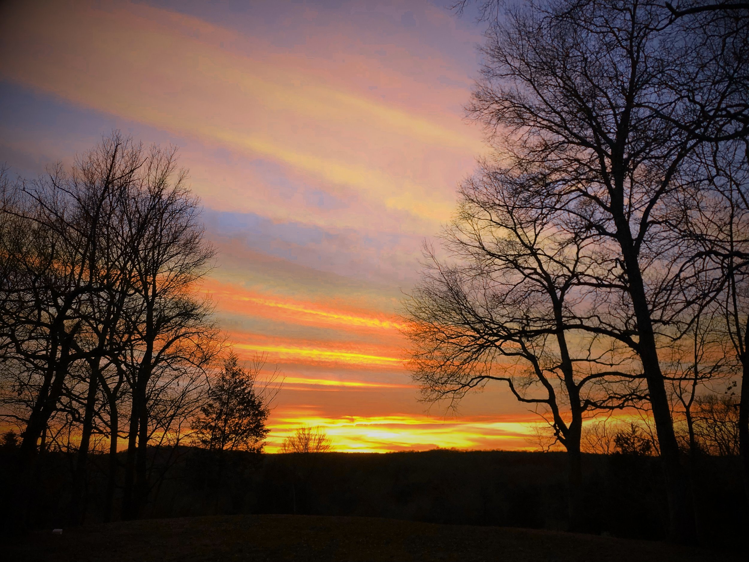 a radiant sunset over a rural horizon with golds and oranges ribboned in the sky and trees silhouetted