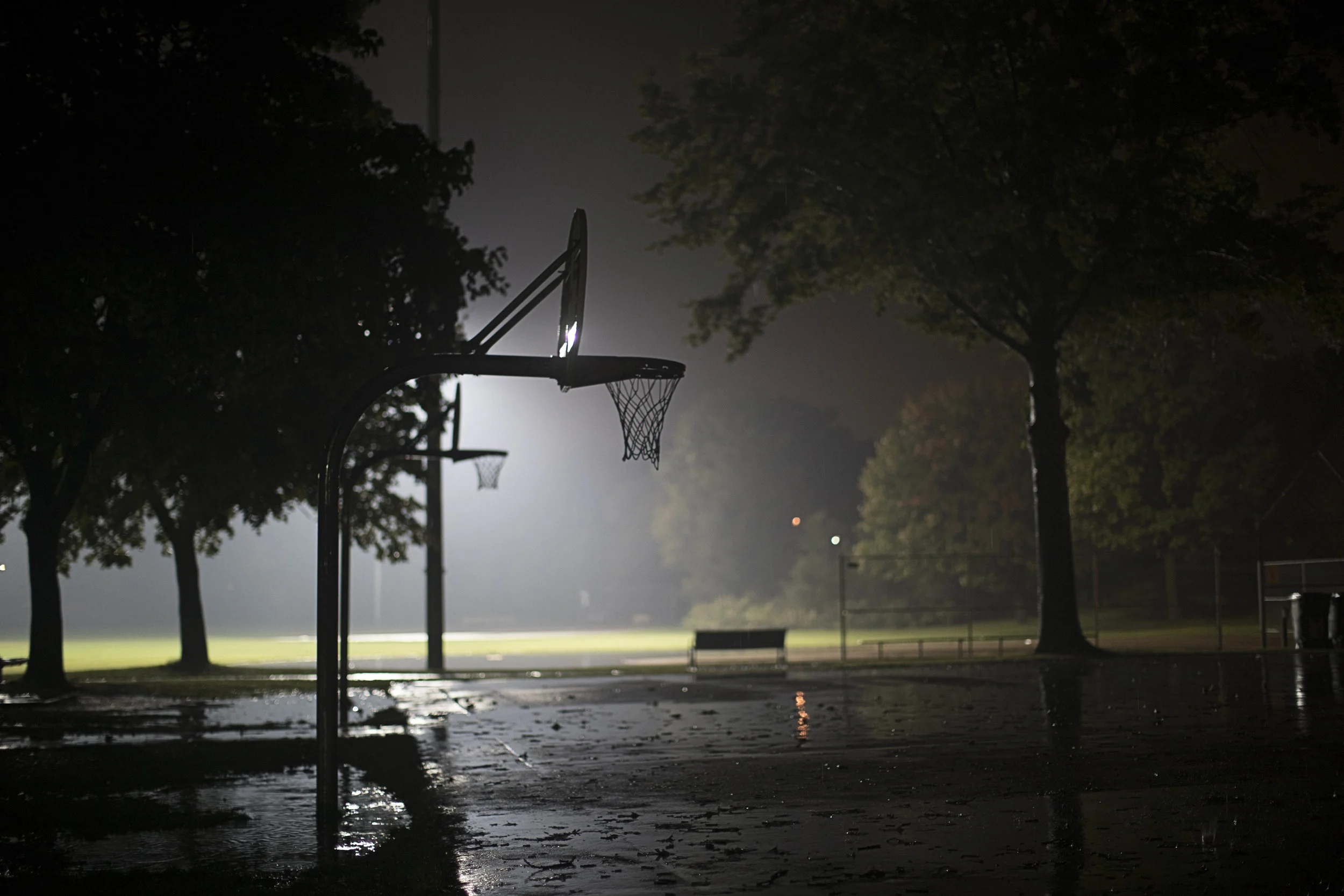 Wolves MPLS 4990.JPG