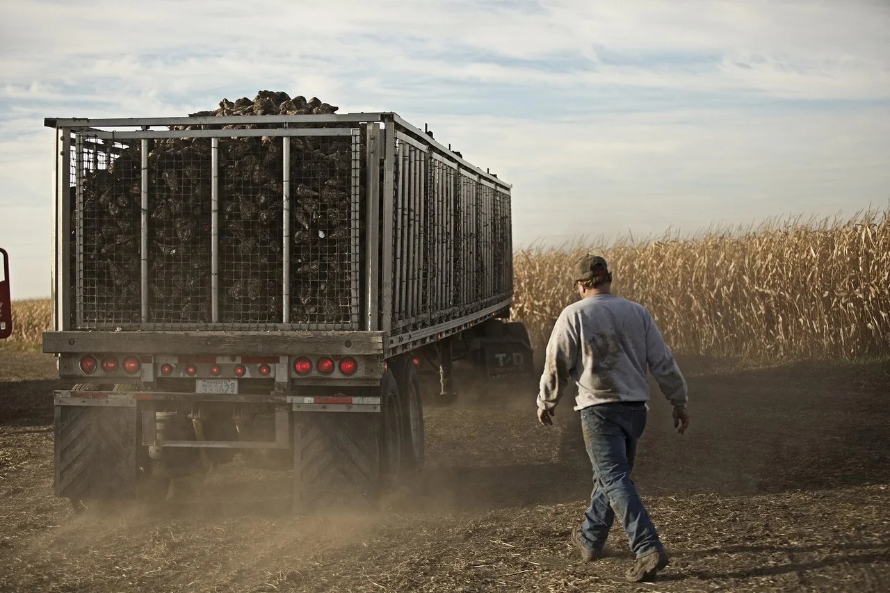Winfield Murdock Harvest 0455.JPG