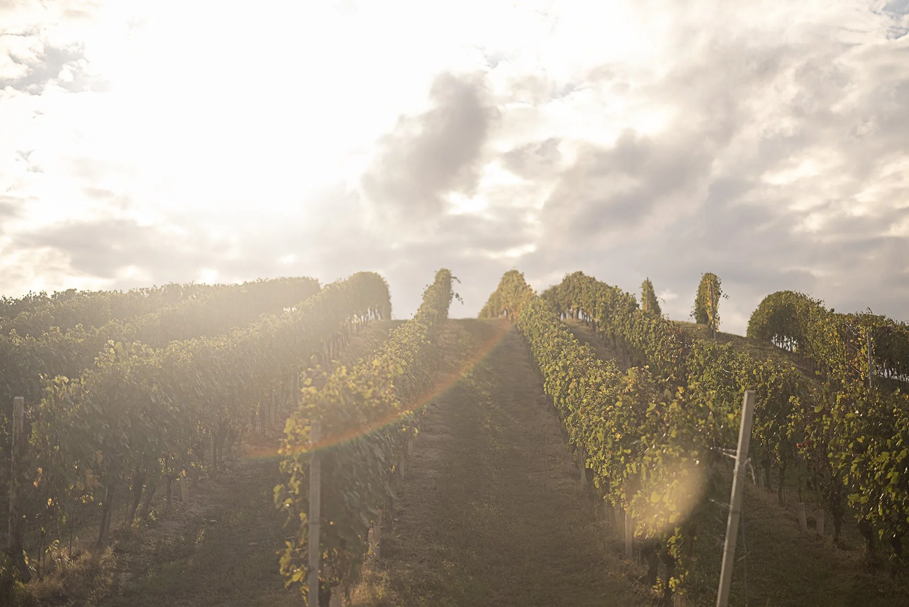 Casa de Langa_3886 copy.jpg