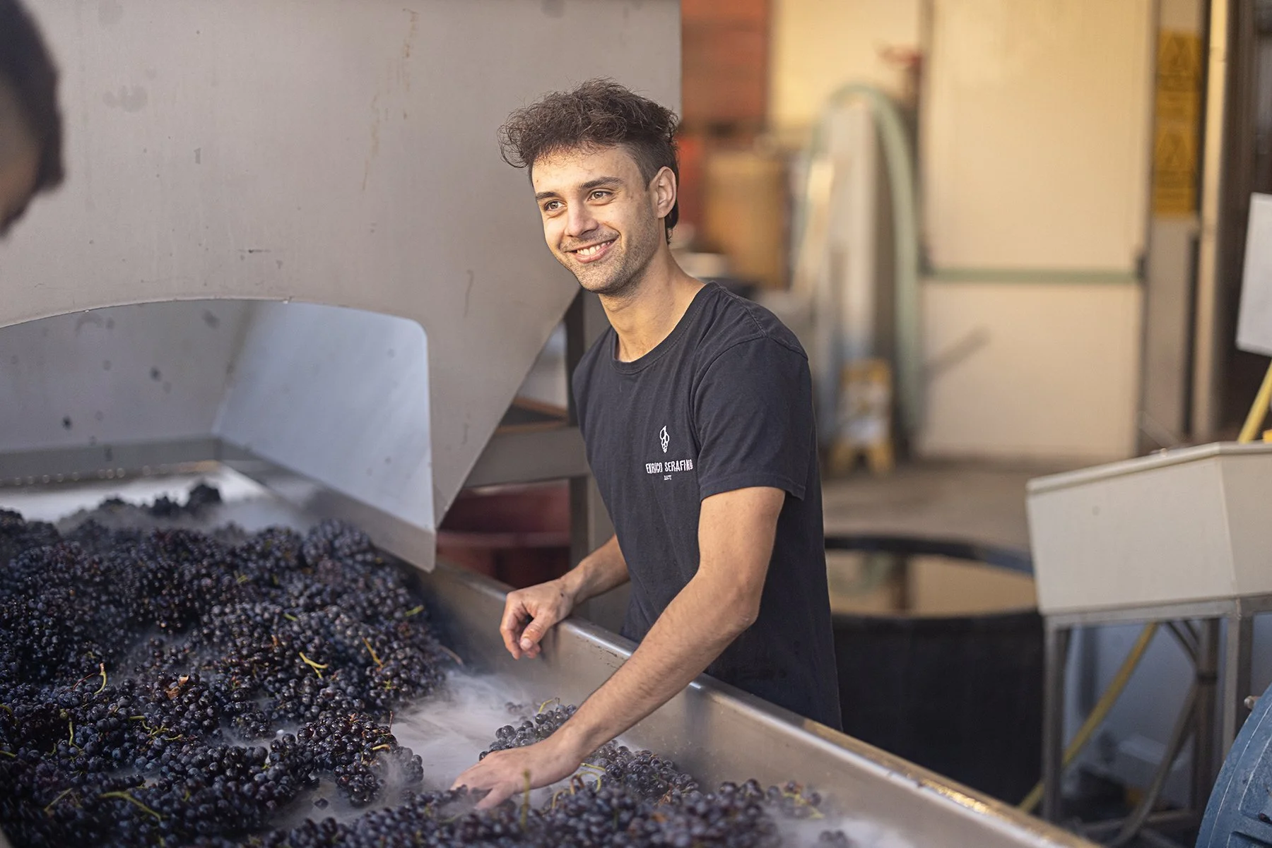 Enrico Serafino_0030 copy.jpg