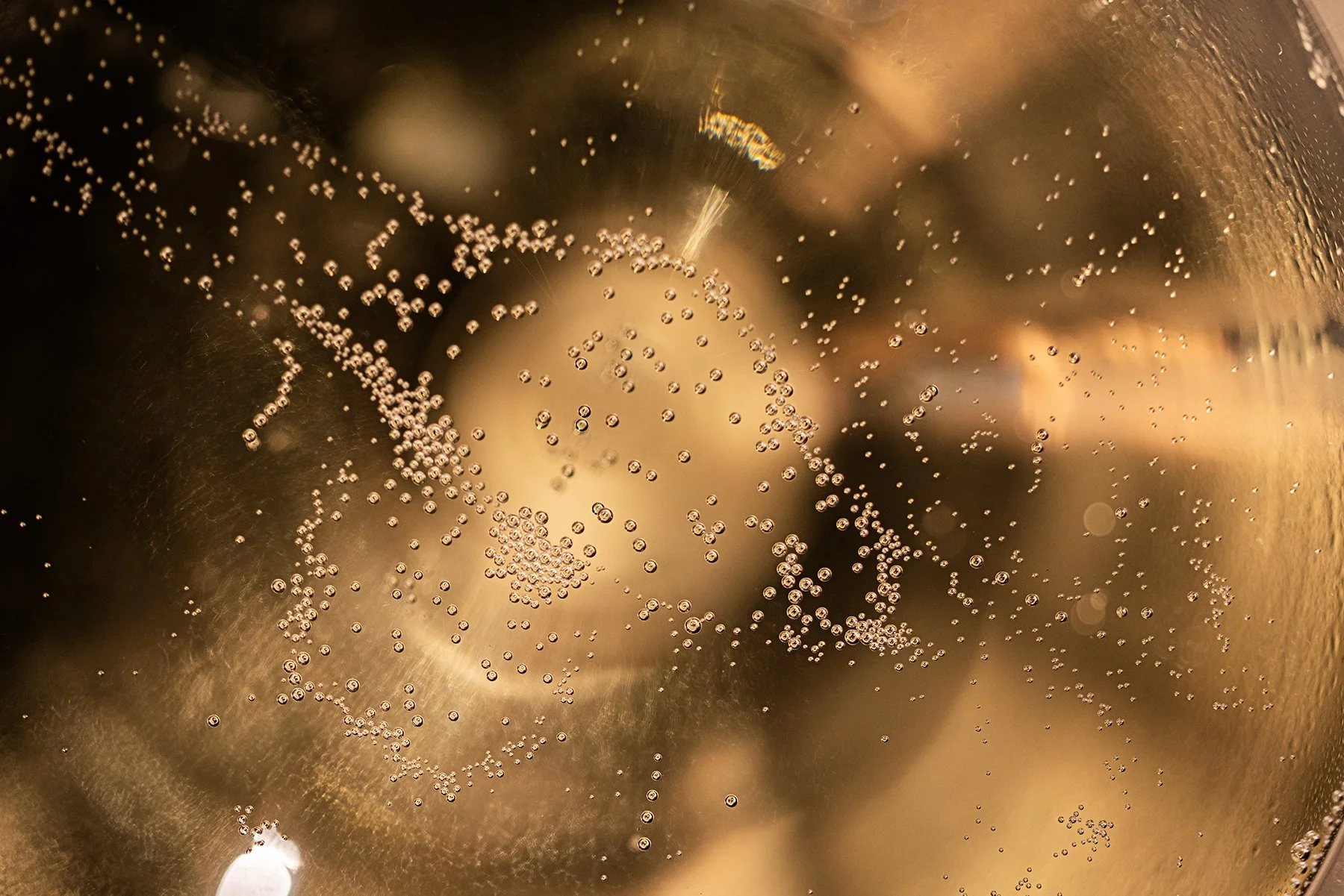 Enrico Serafino_1163 copy.jpg