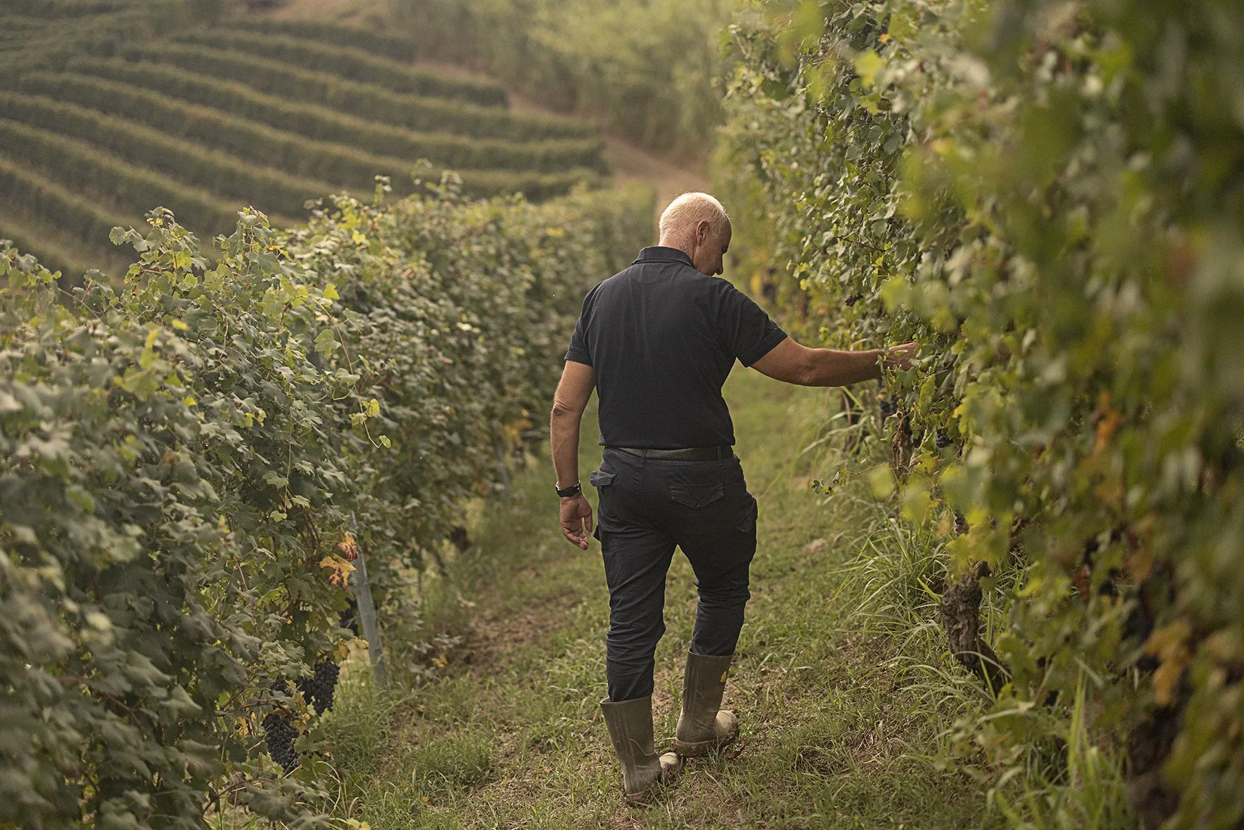 Vietti_0298 copy.jpg