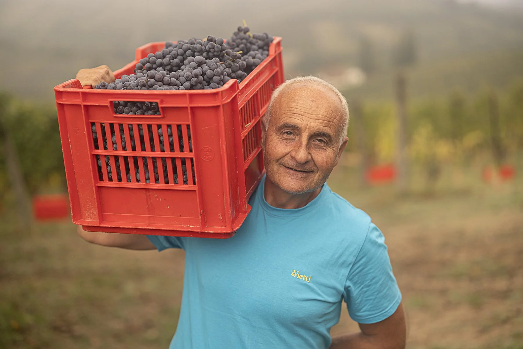 Vietti_0910 copy.jpg