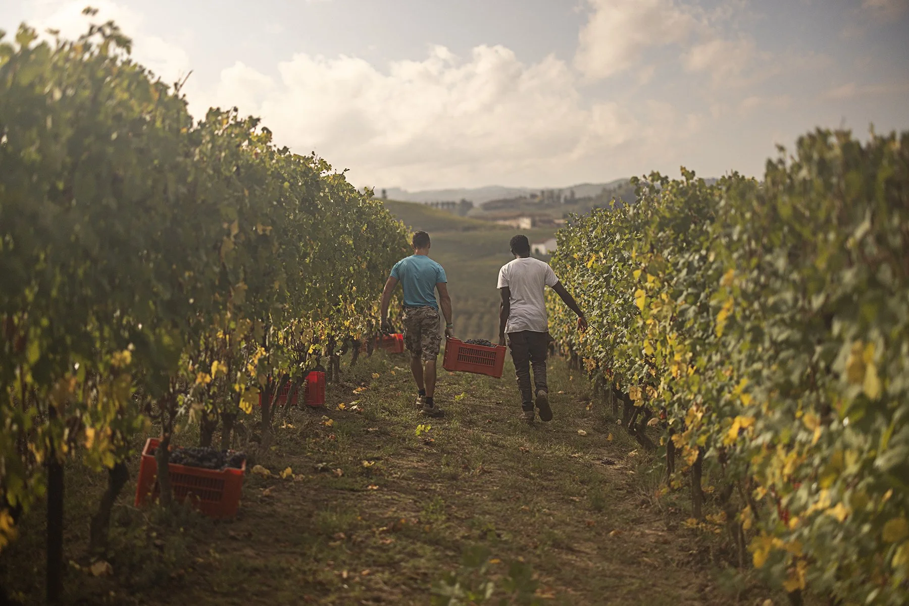 Vietti_1247 copy.jpg