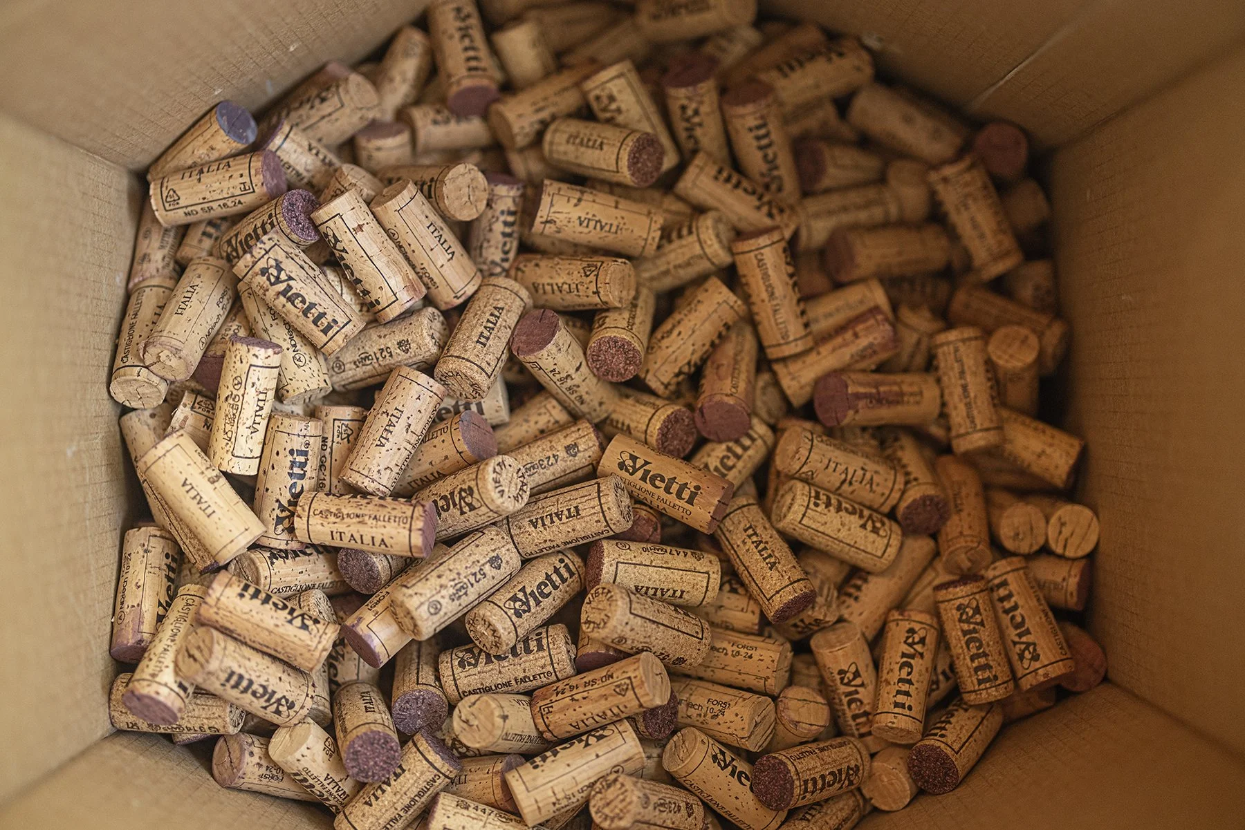 Vietti_1577 copy.jpg