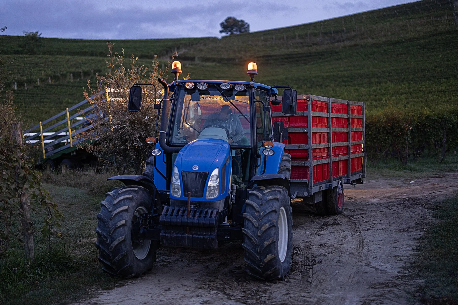 Vietti_2209 copy.jpg