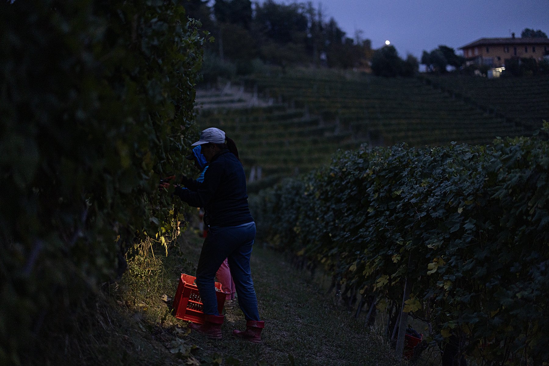 Vietti_2957 copy.jpg