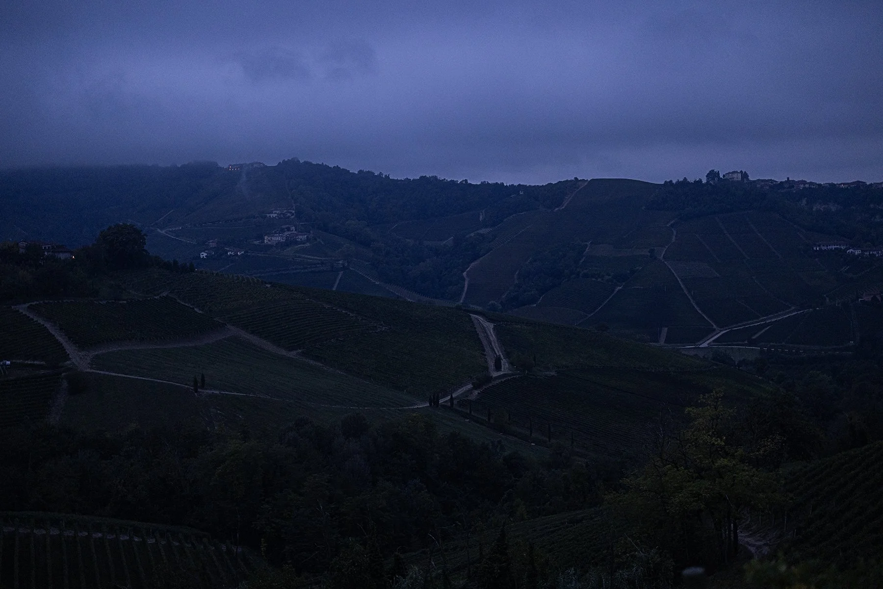 Vietti_2958 copy.jpg