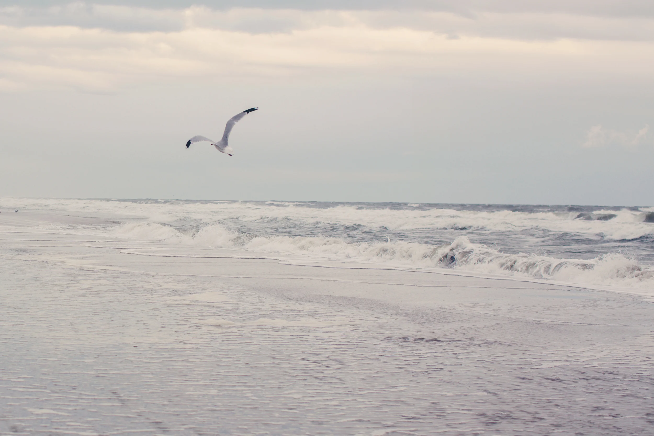 revised-9543 edit.jpg