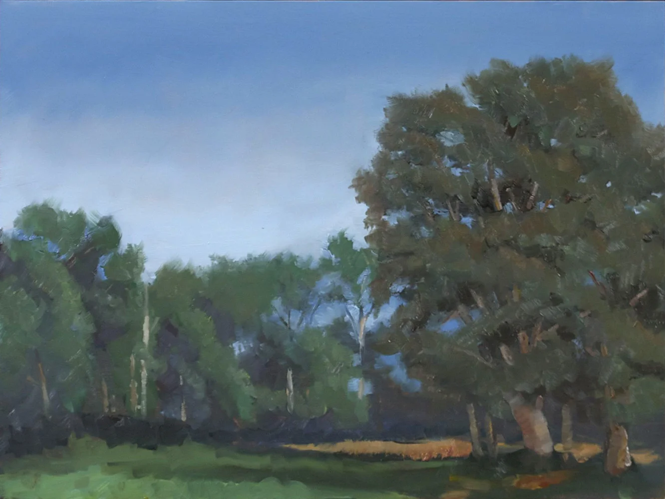 landscape_trees.jpg