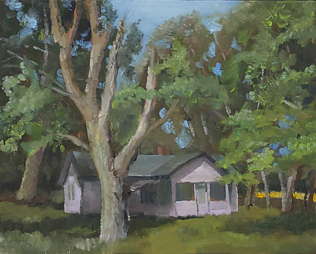 landscape_across_the_road.jpg
