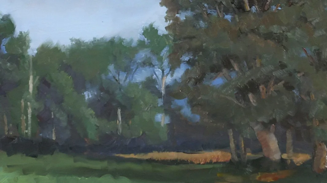 landscape_trees.jpg