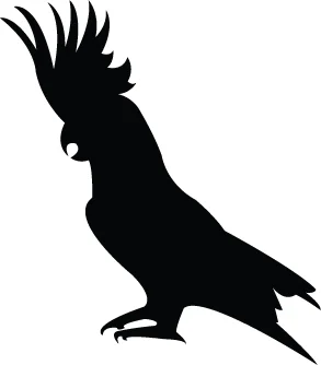 Cockatoo_runner1.jpg