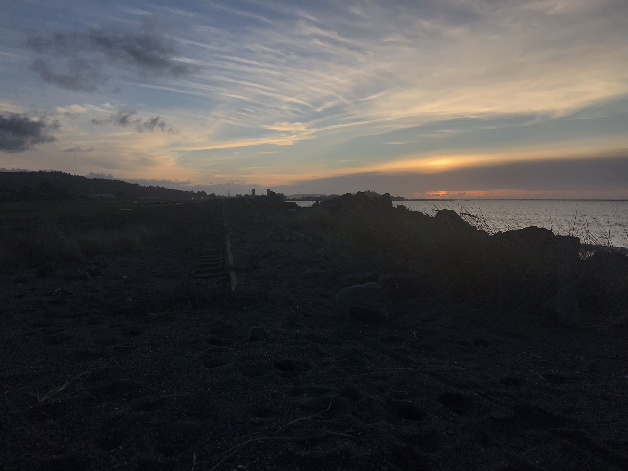 IMG_1700.jpeg