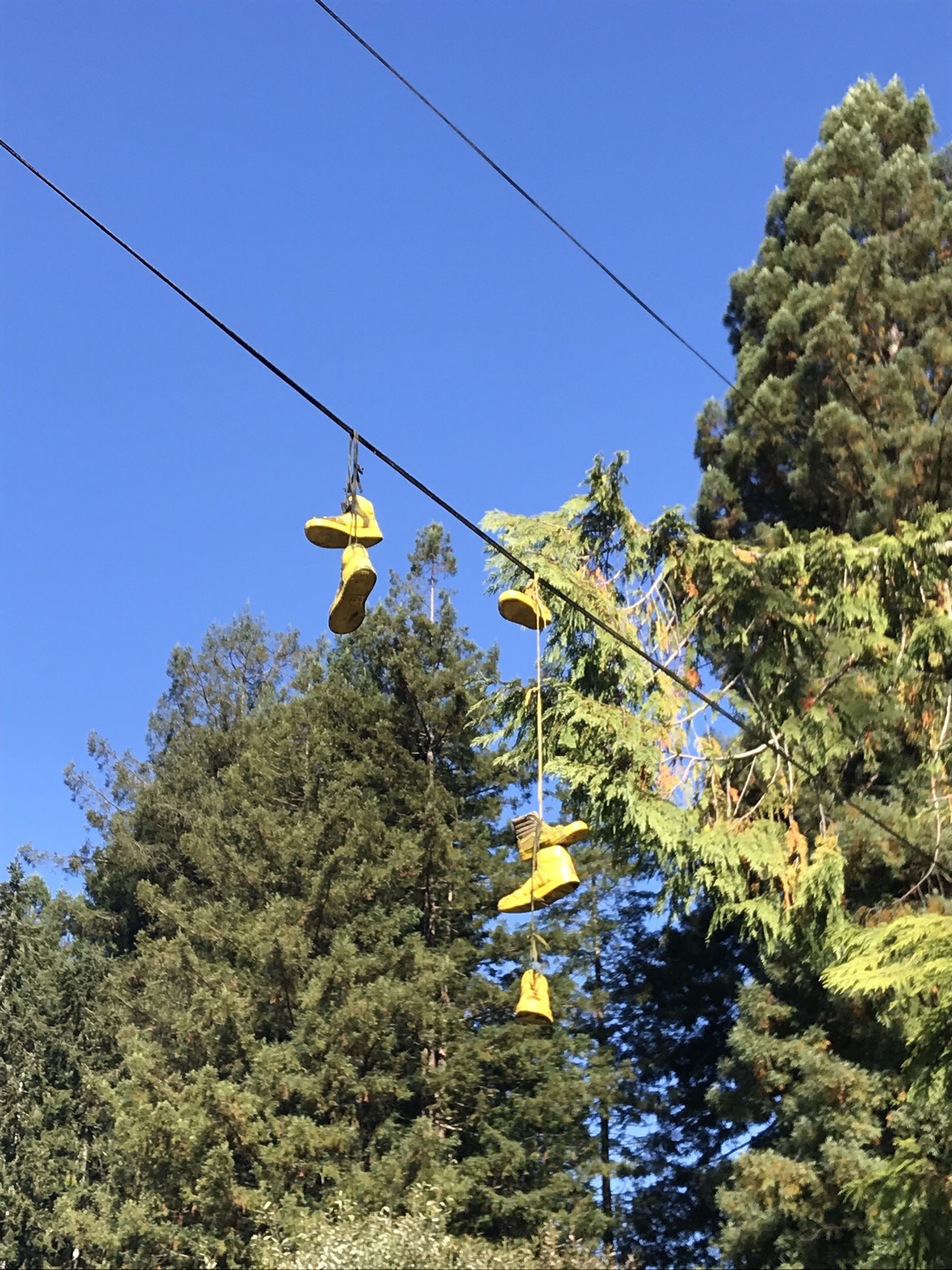 IMG_2045.jpeg