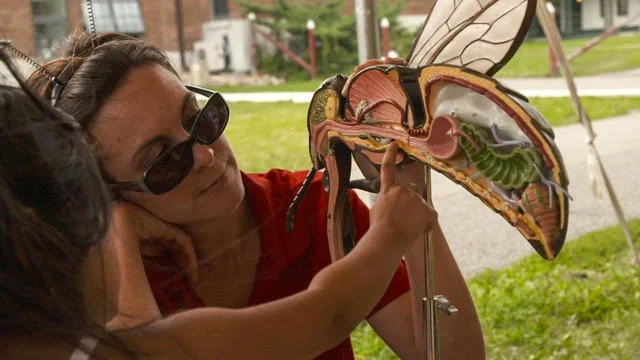 beeday.jpg