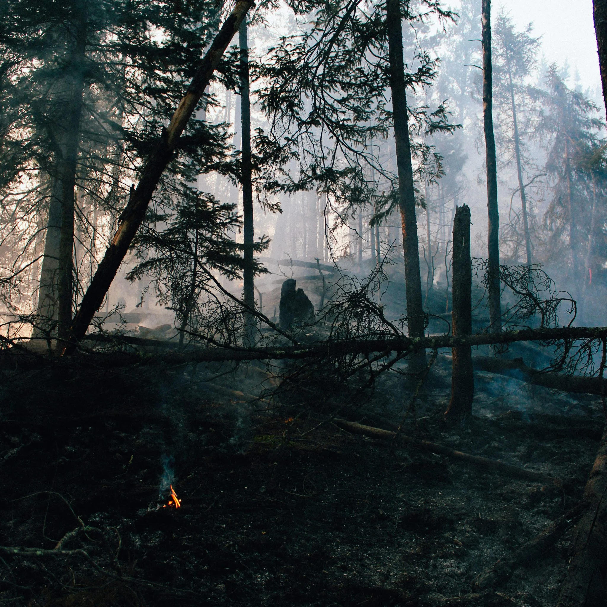 Copy-of-Island-Fire-Cover.jpg