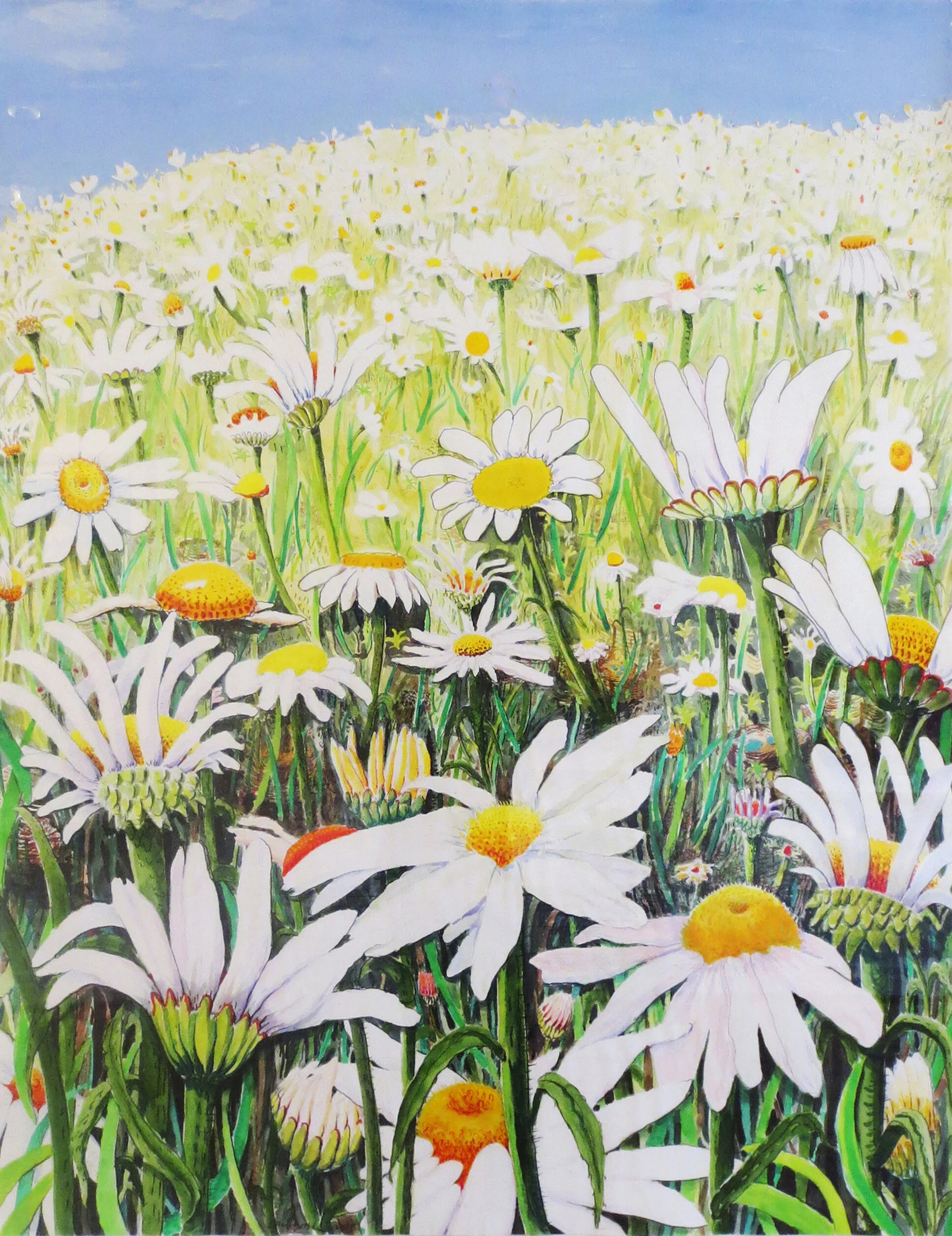 East City Art Reviews Carol Barsha: Within My Meadow