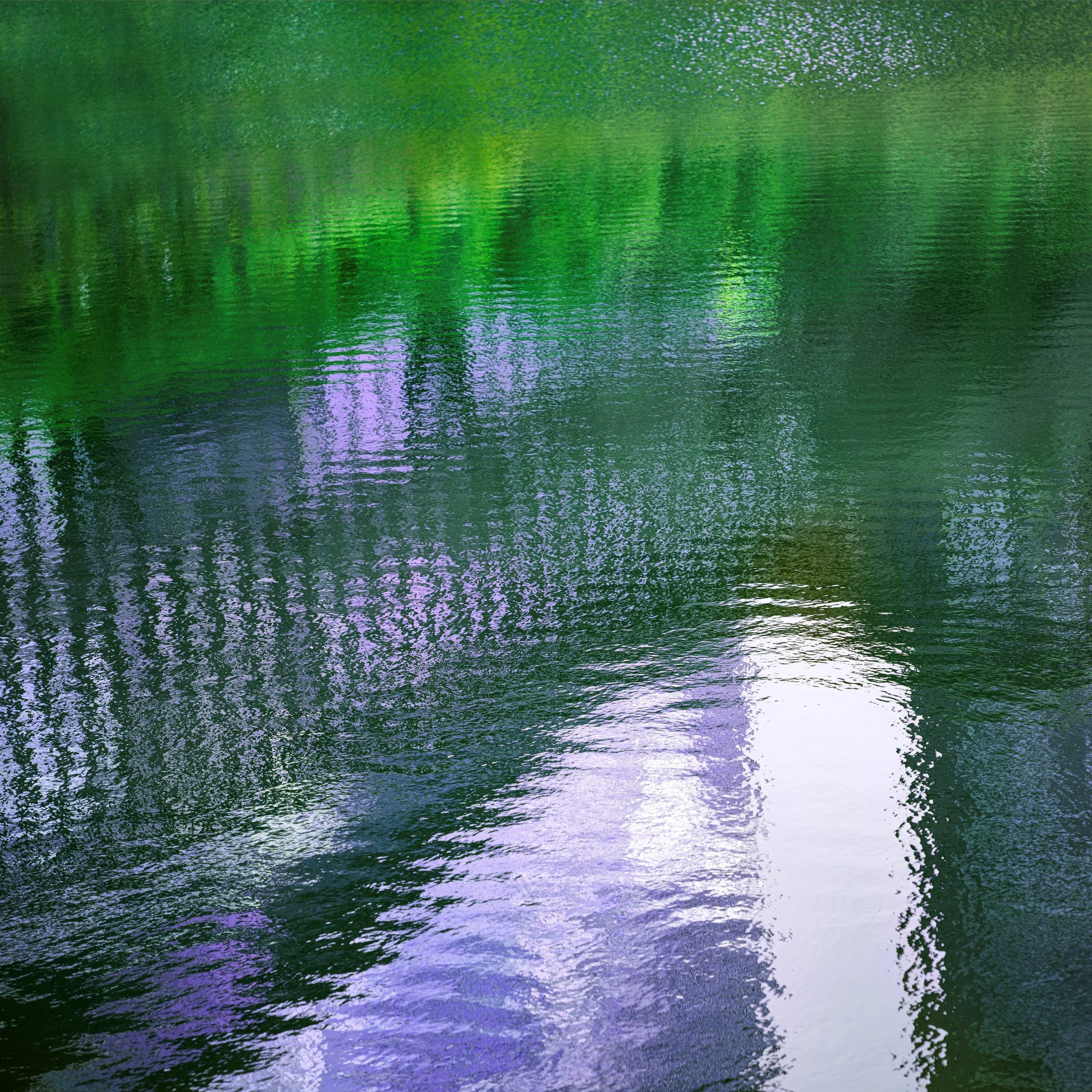 Imperial Garden 36x36__MED.jpg