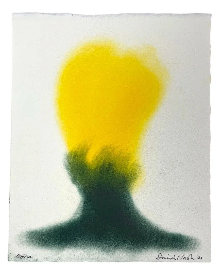 David Nash Pochoir .jpeg