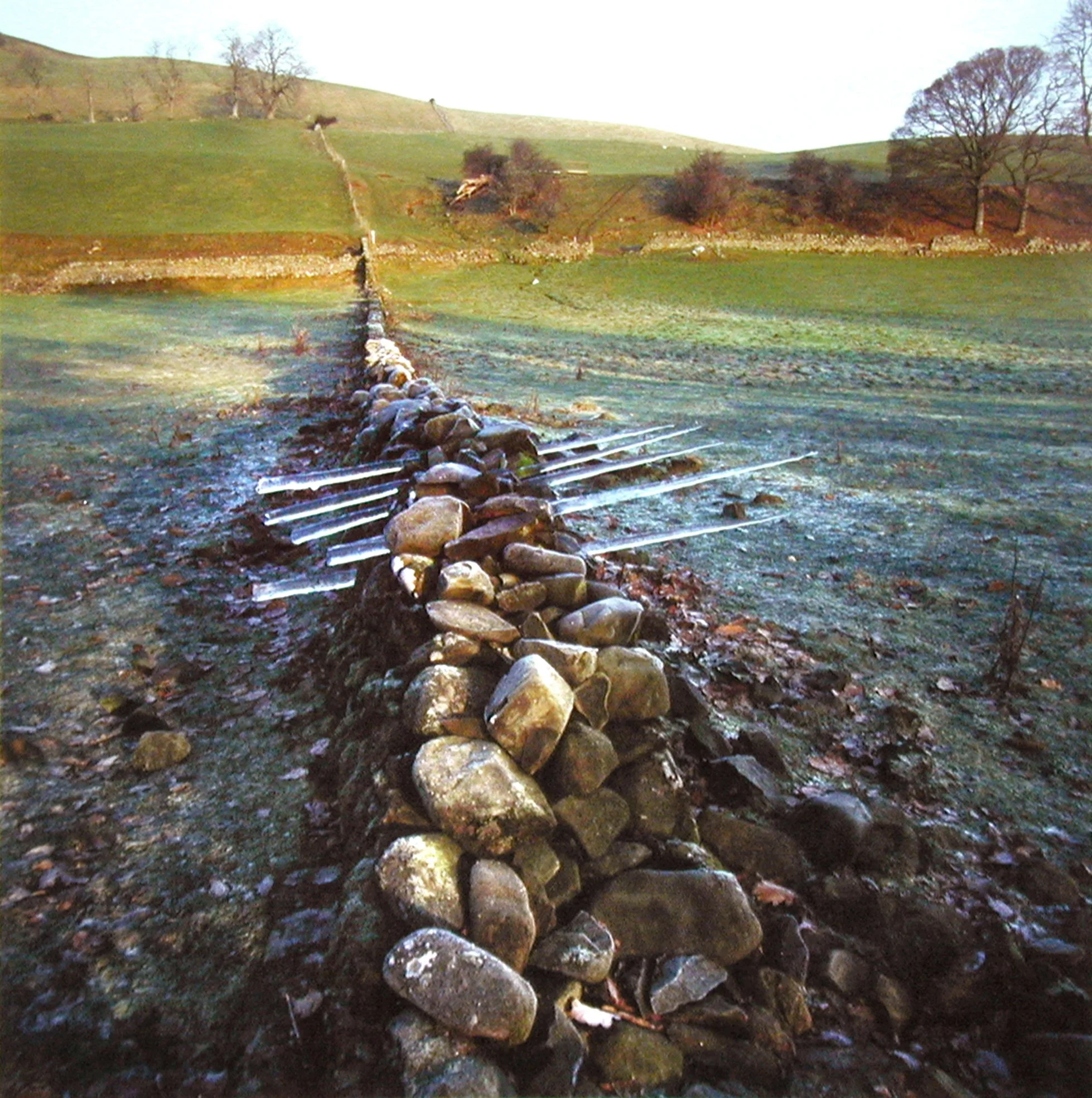 LOT 6: ANDY GOLDSWORTHY