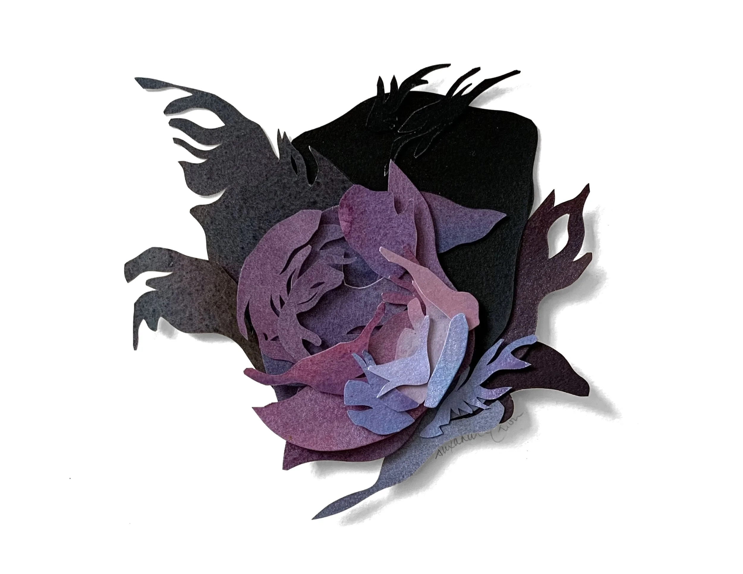 3. Another New Day, Another New Hope.jpg