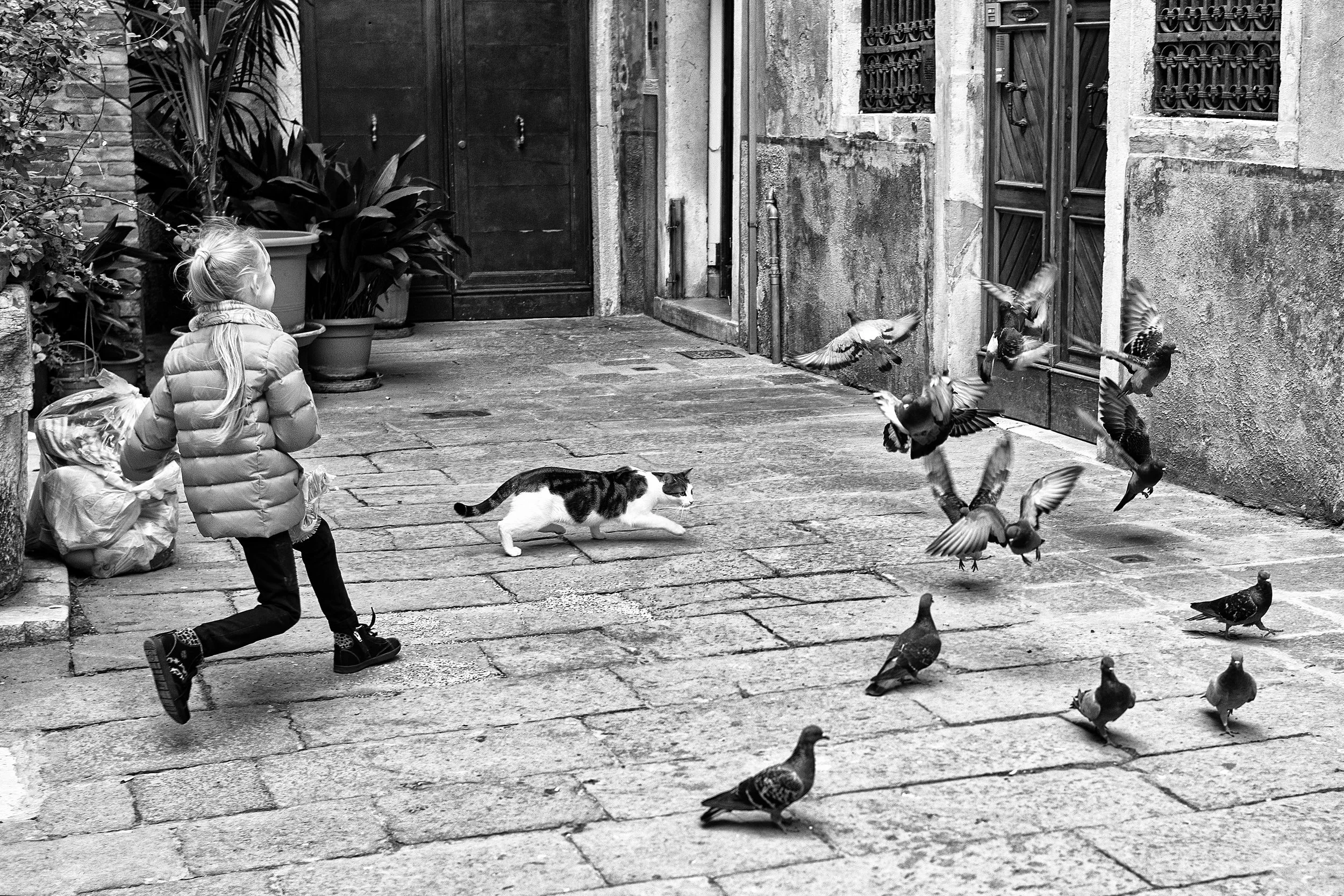 Into an Instant: Photographer Vincent Ricardel seizes moments