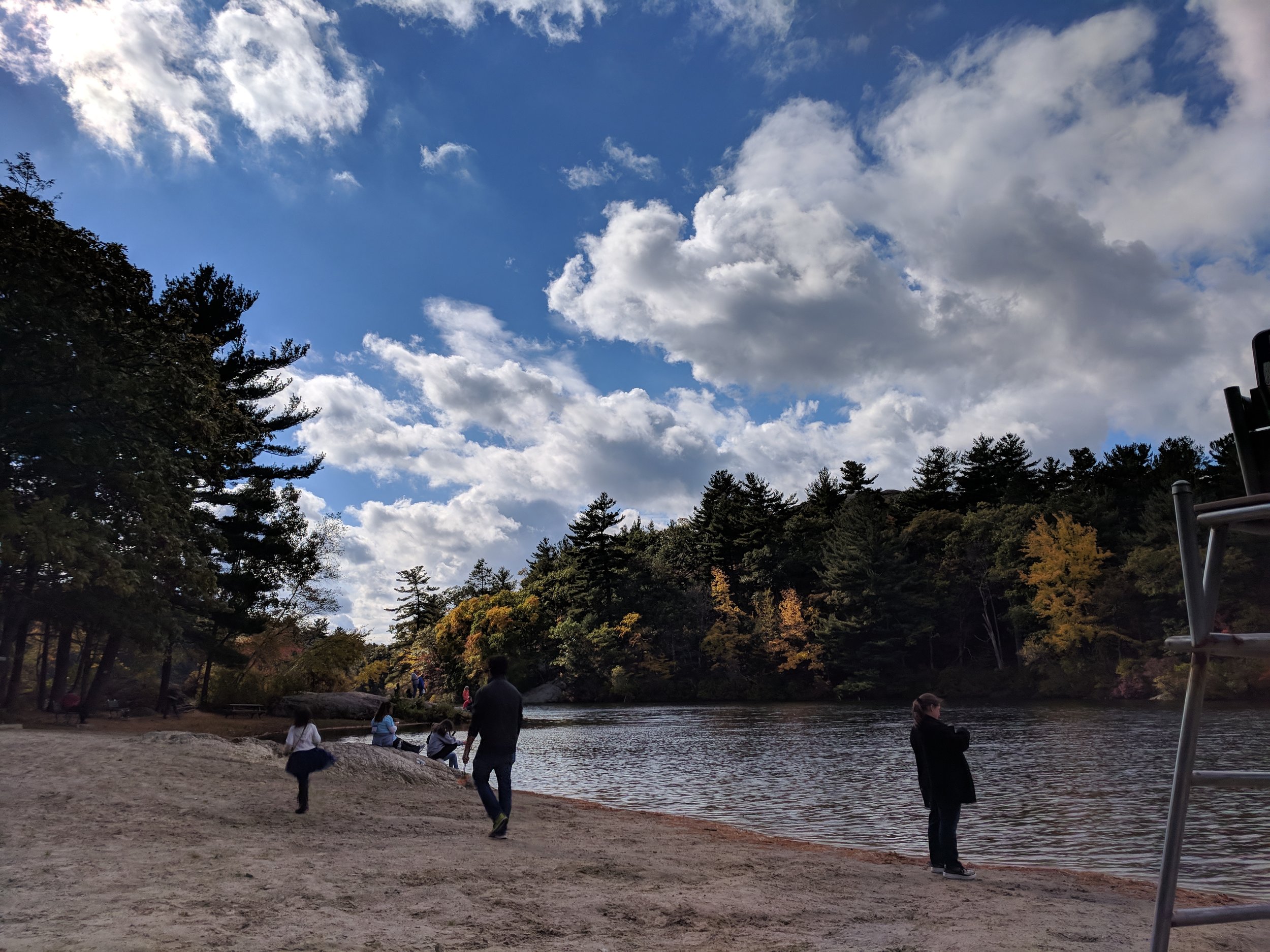 2018walk17.jpg