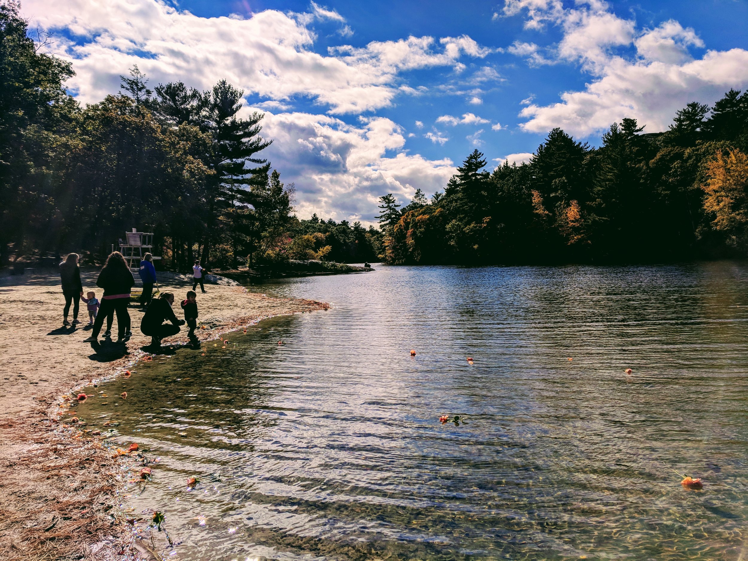 2018walk19.jpg