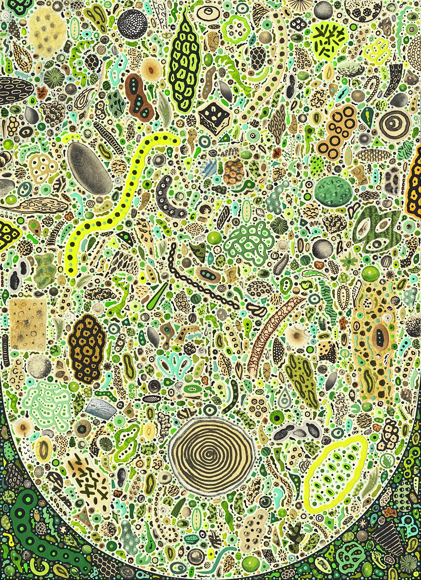 Microbes