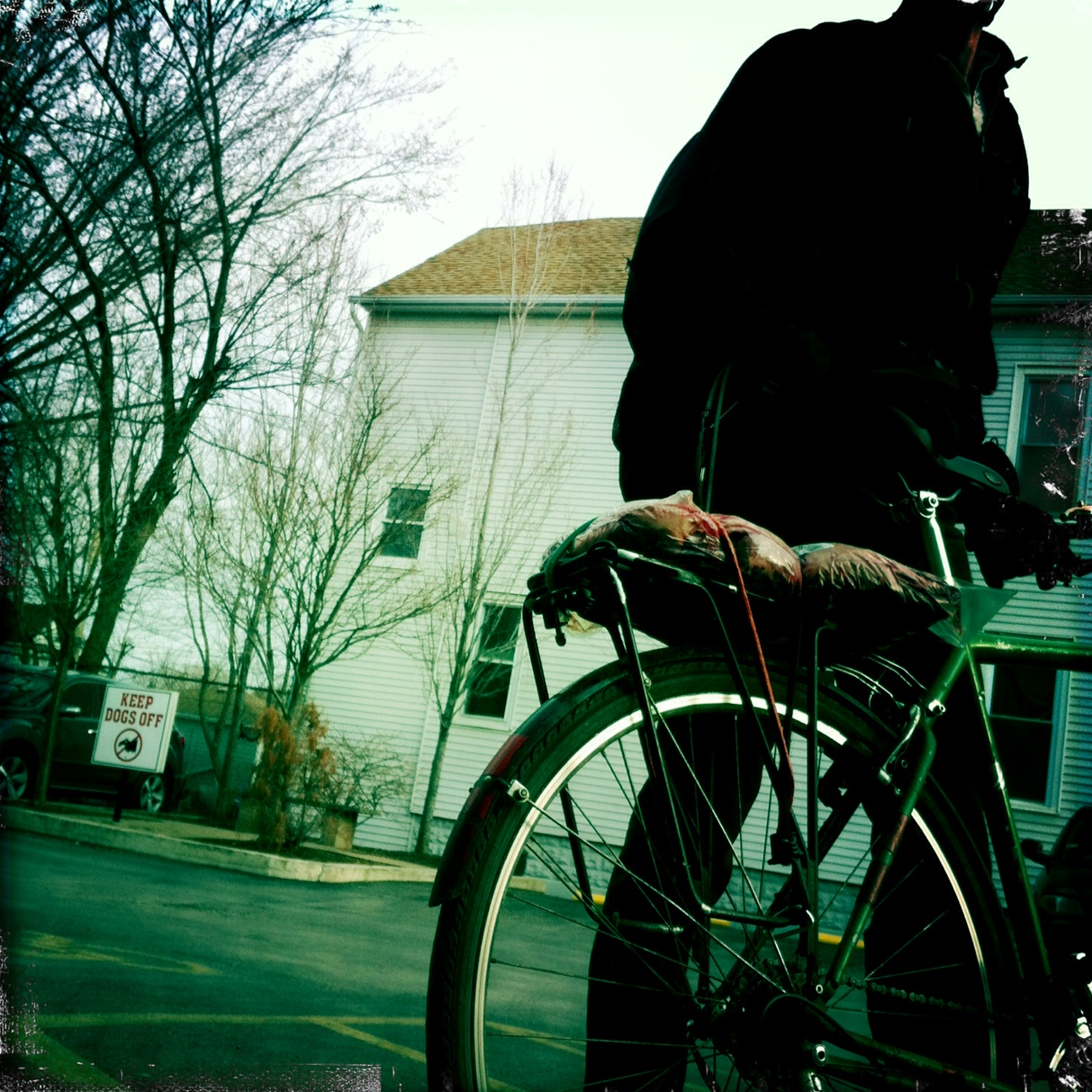 Photo by Serena Lander .