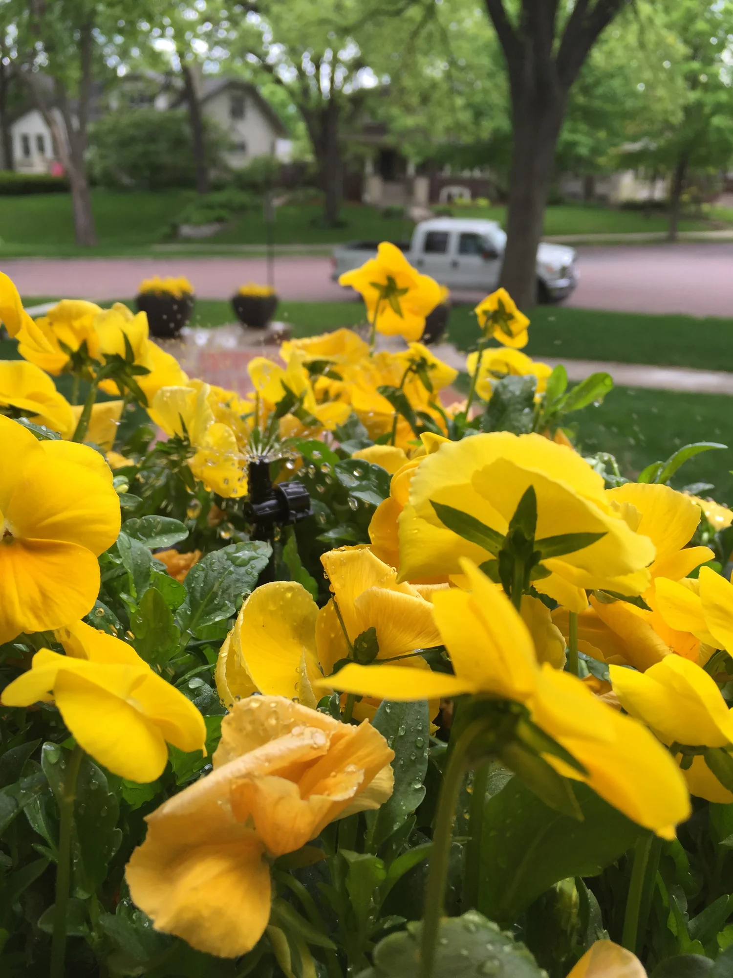 creekside lawn care on Home Creekside Lawn Landscape