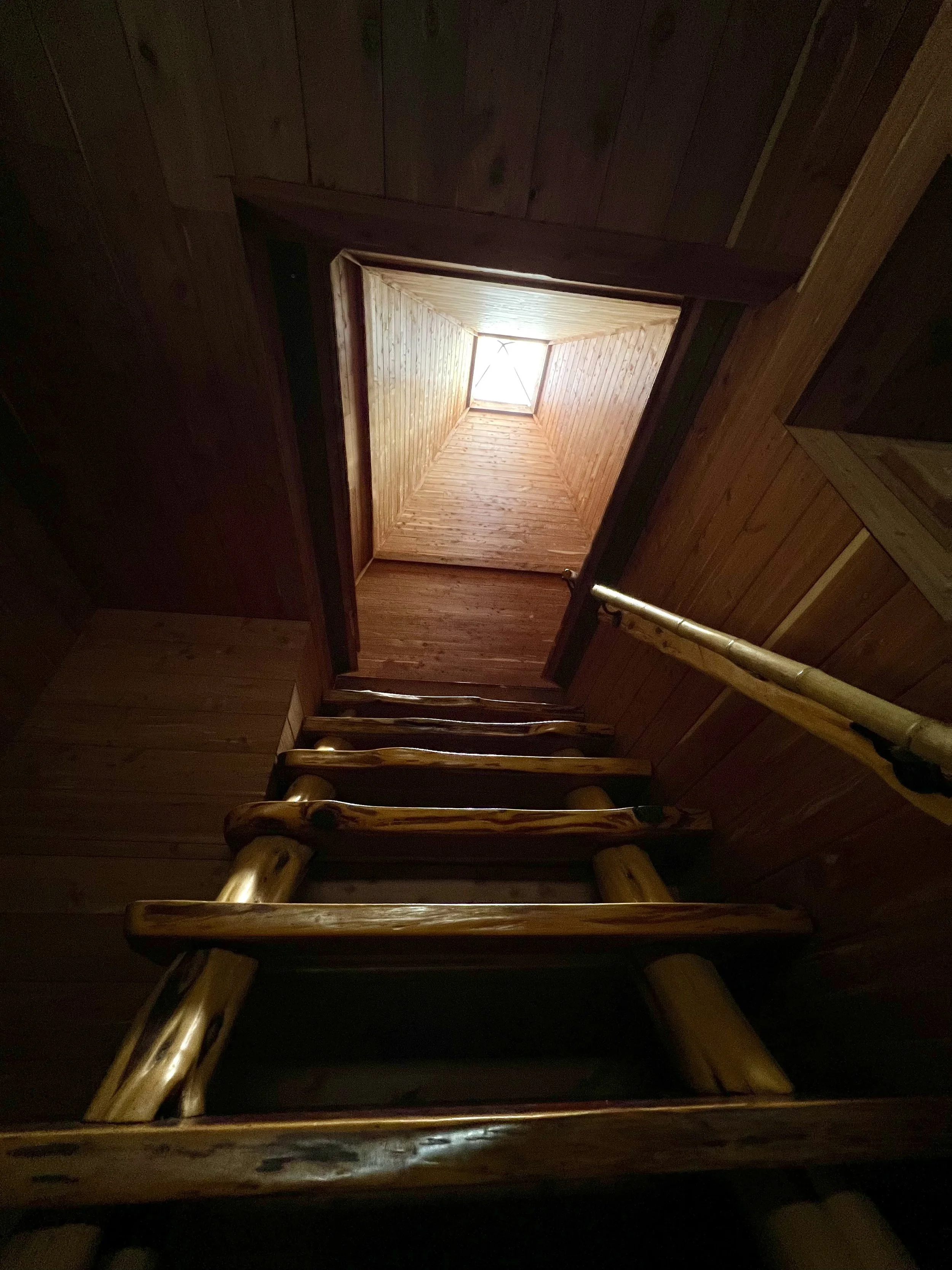 396EA848-08BD-404C-8840-D72A5E130B8A.jpeg
