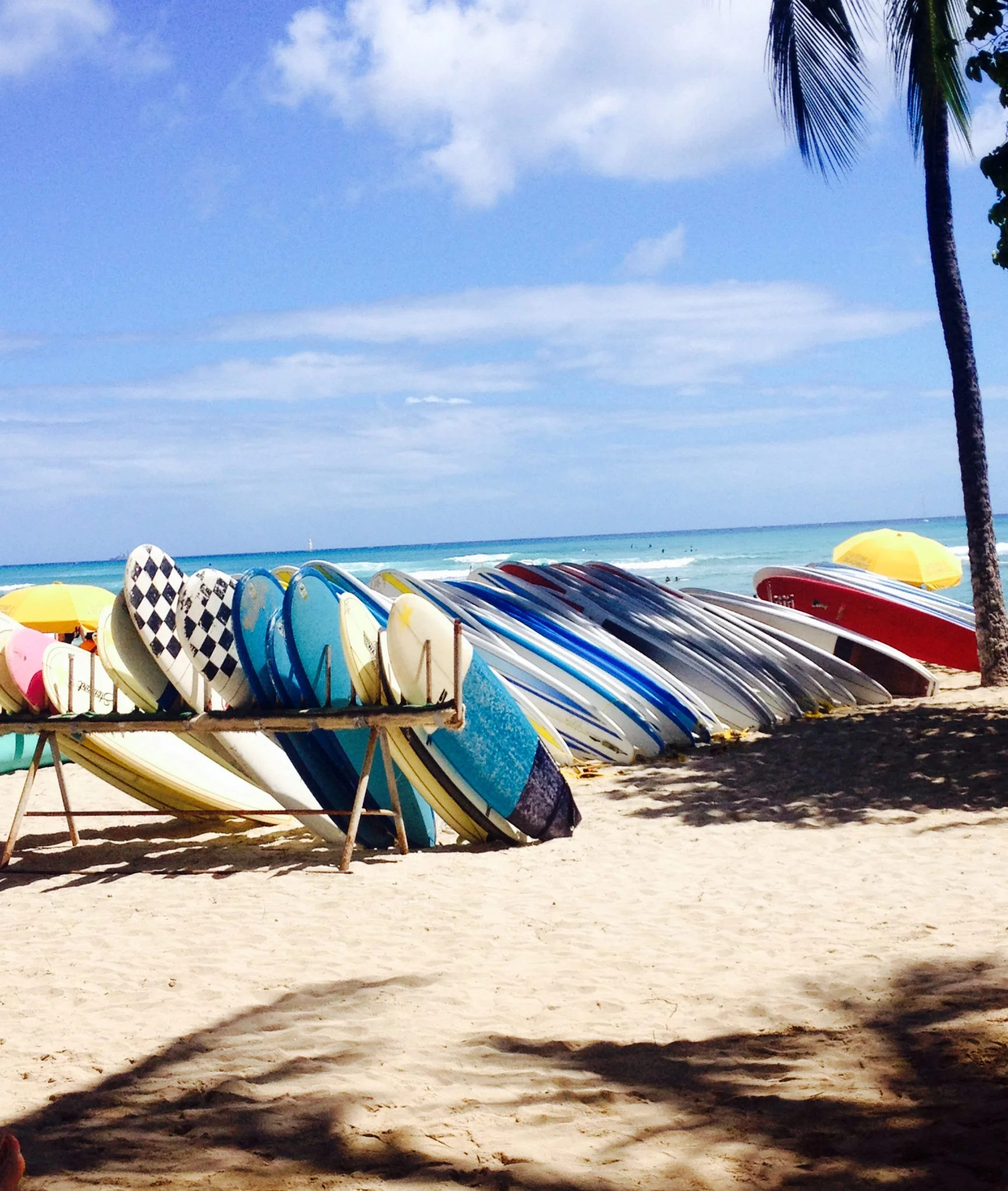 obsessed with surfing videos, the different colors of the ocean and all those gorgeous boards...