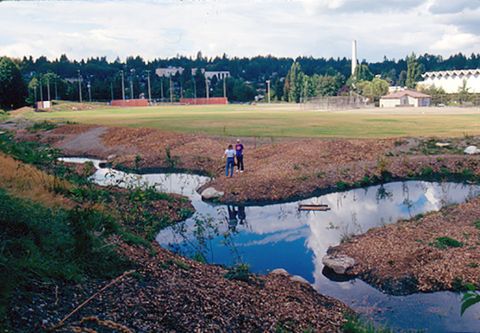 meadowwet_MEADOW-BROOK-10.jpg