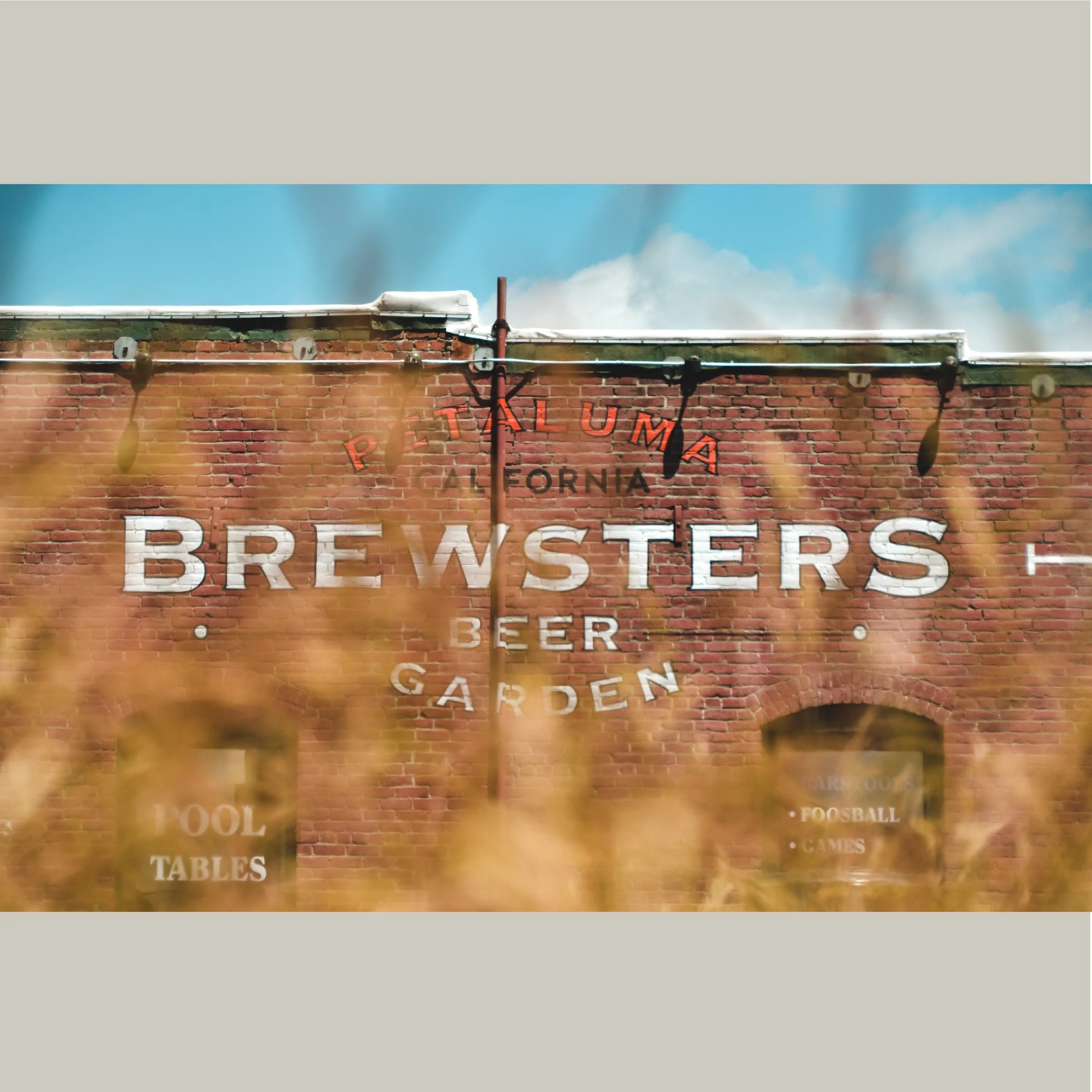 theTide_Portfolio_Brewsters1b.jpeg