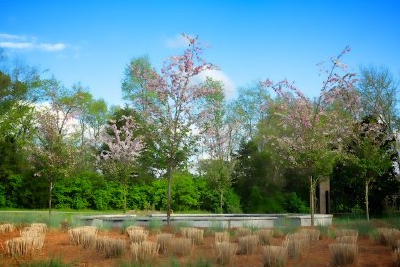 Memorial Garden