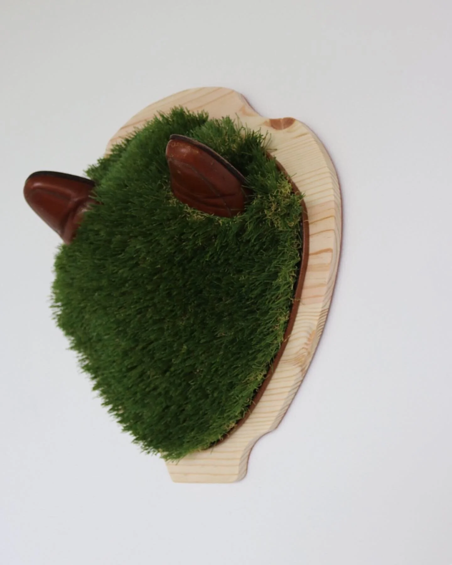 A Snake in the Grass