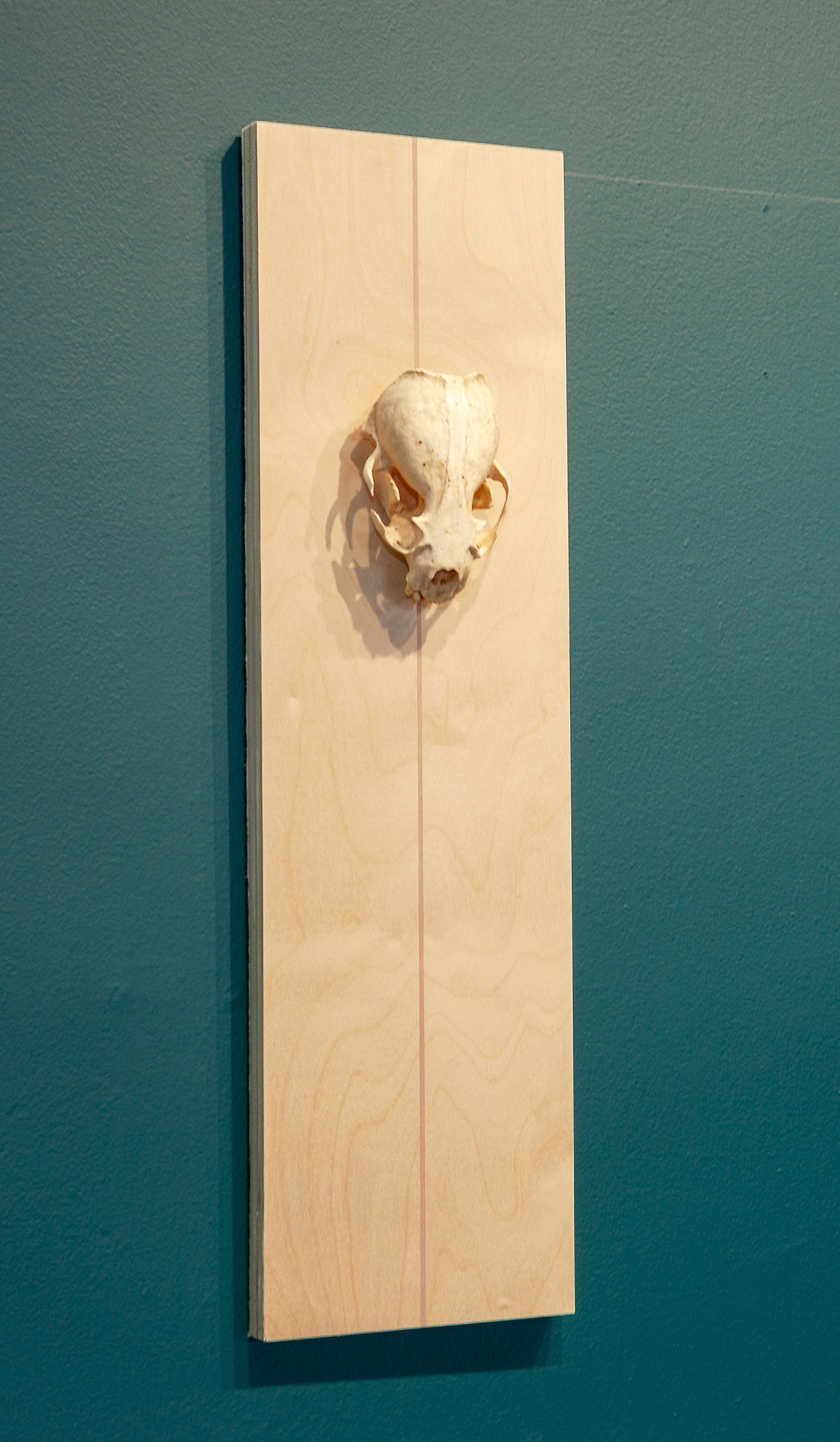 Western Landscape (All roads lead to Elko) 