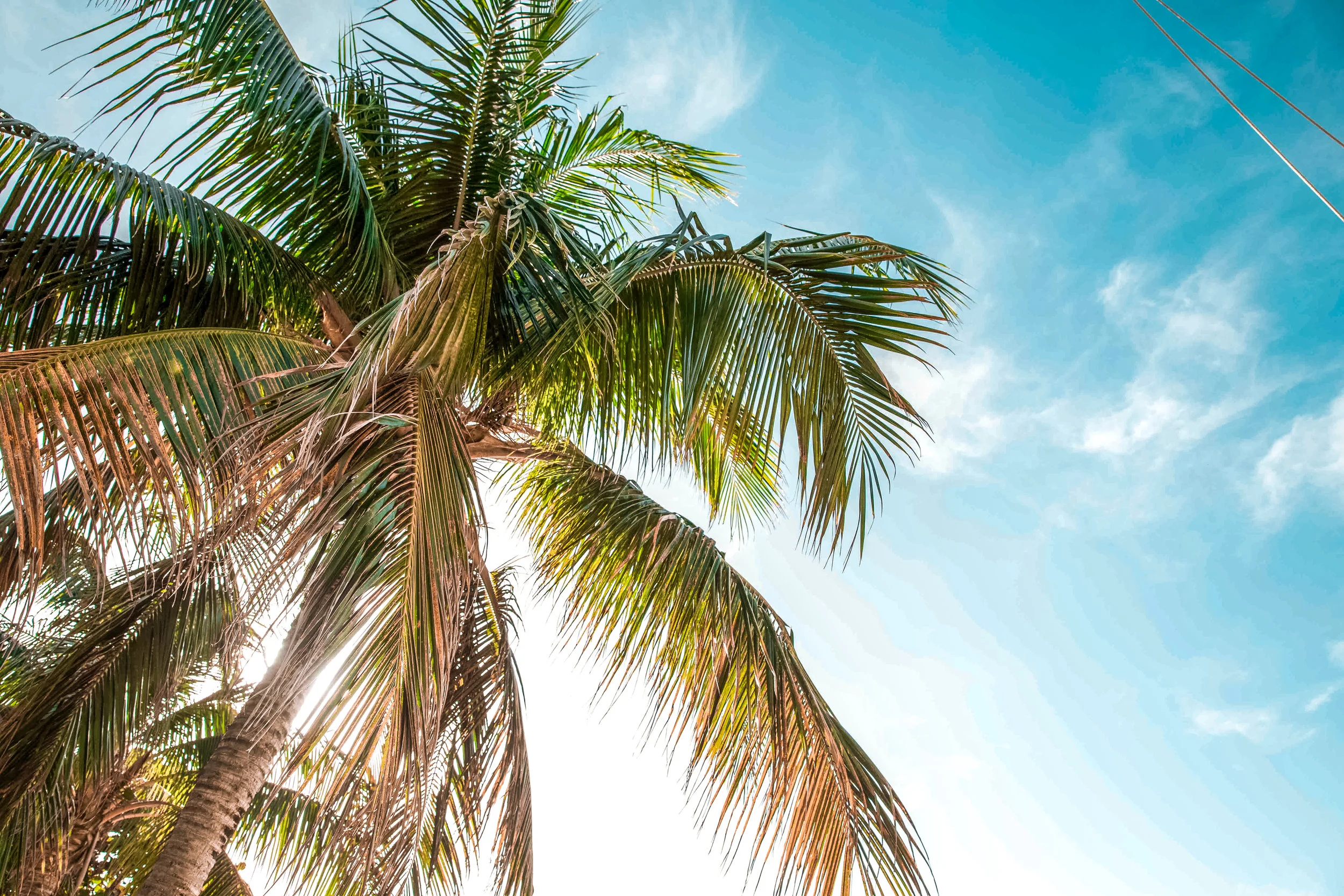 Cayman-01-32.jpg