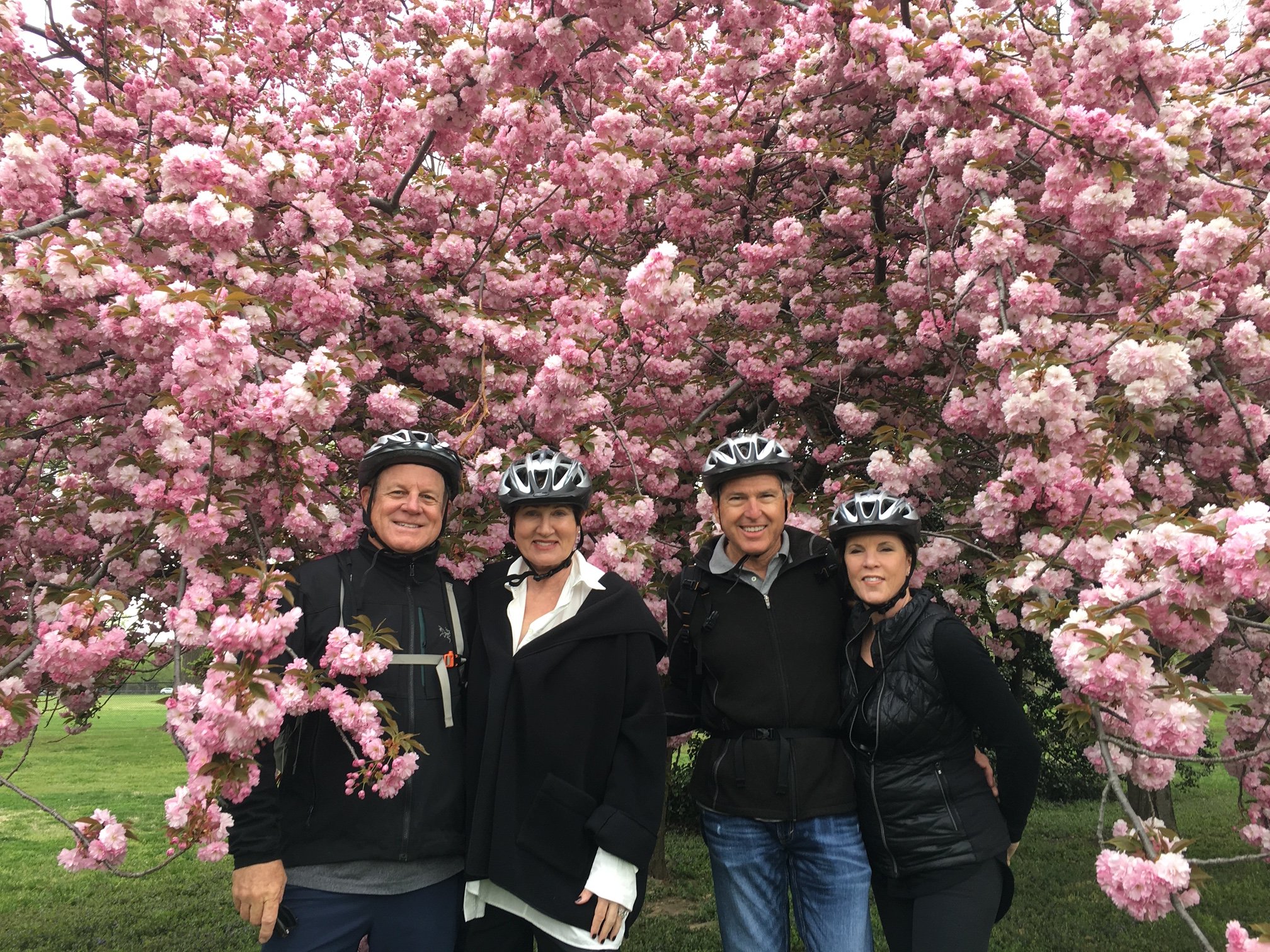 Cherry Blossoms & 2 Couples.JPG